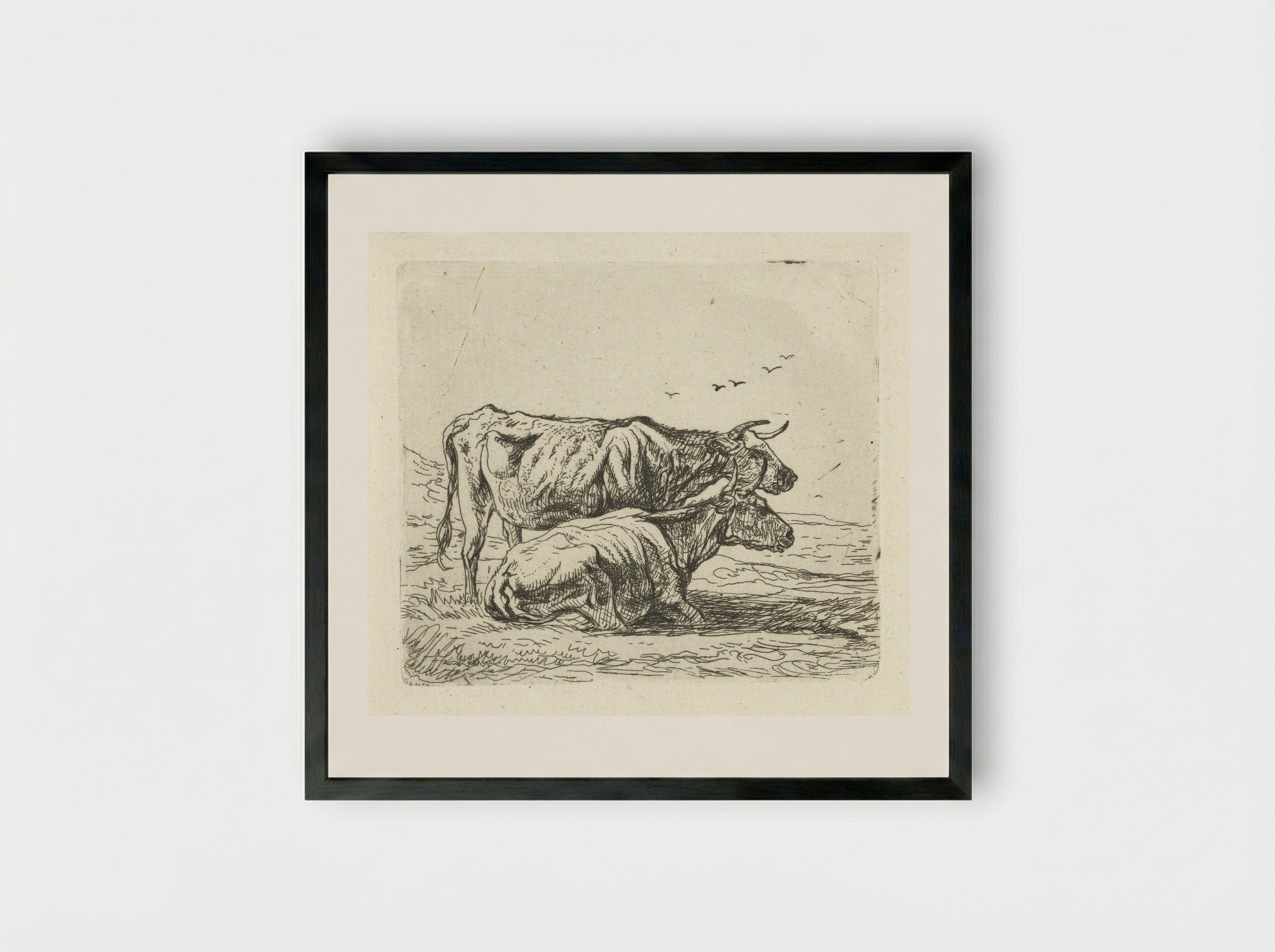 Twee koeien (Two Cows) - Aelbert Cuyp - Framed Print Black