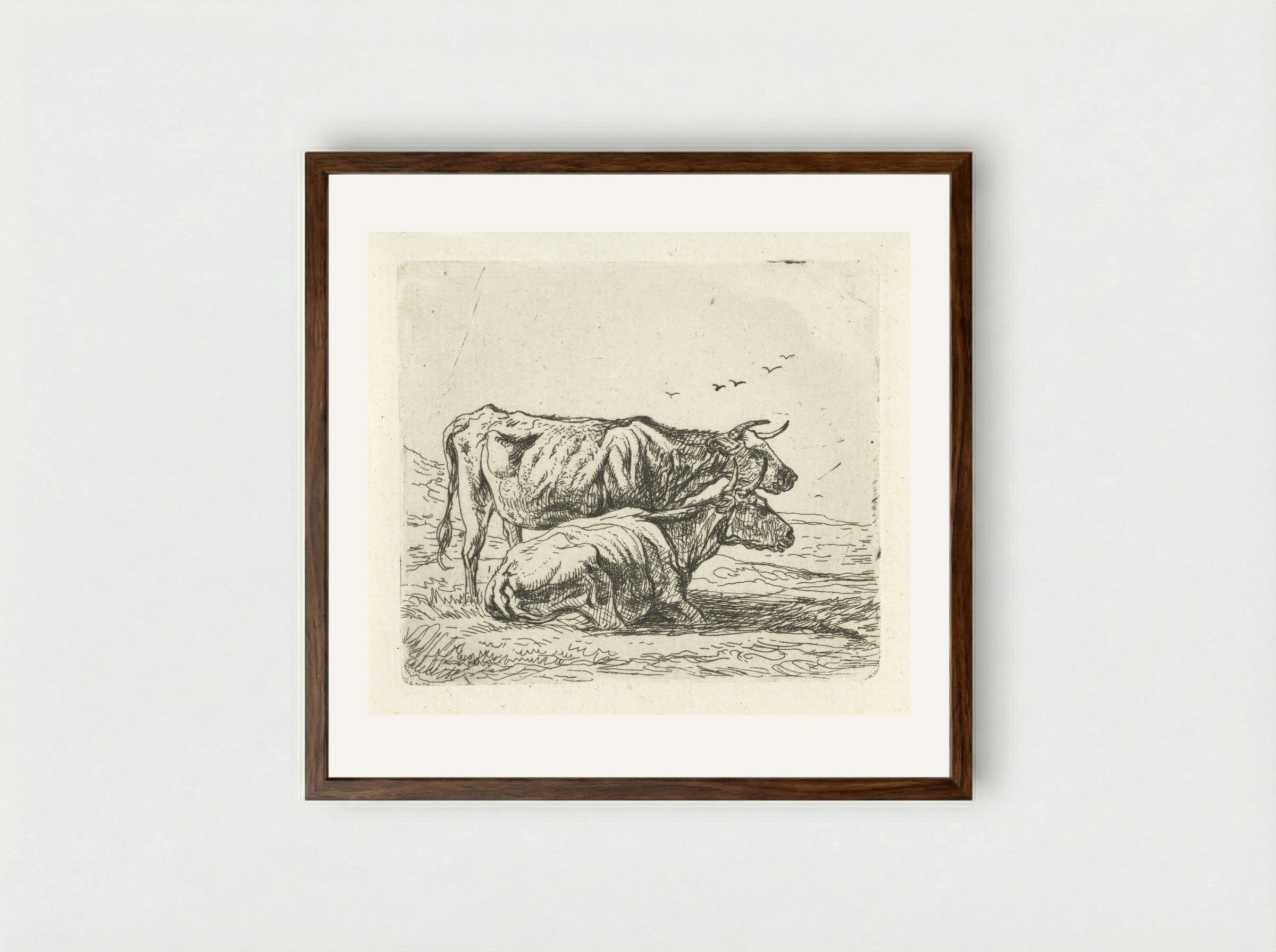 Twee koeien (Two Cows) - Aelbert Cuyp - Framed Print Dark Wood