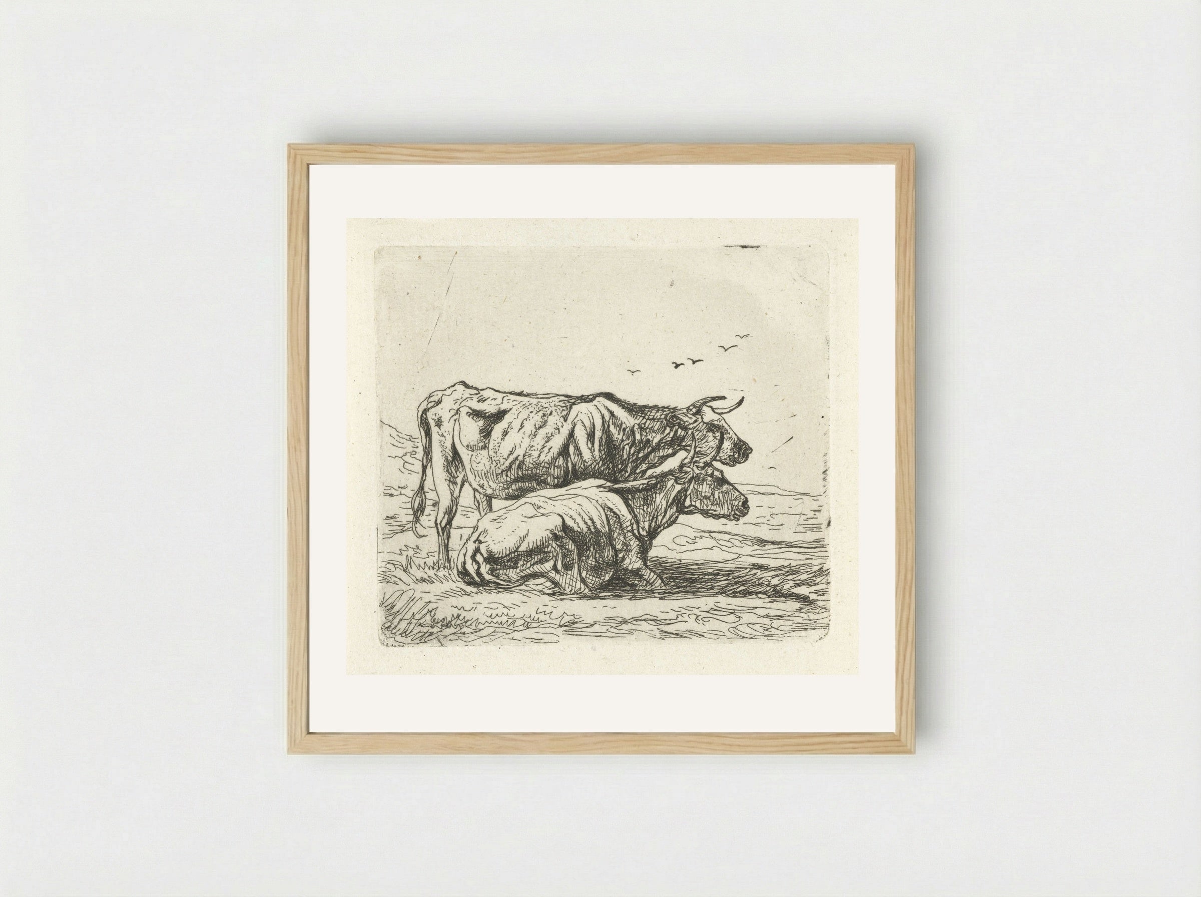 Twee koeien (Two Cows) - Aelbert Cuyp - Framed Print Wood