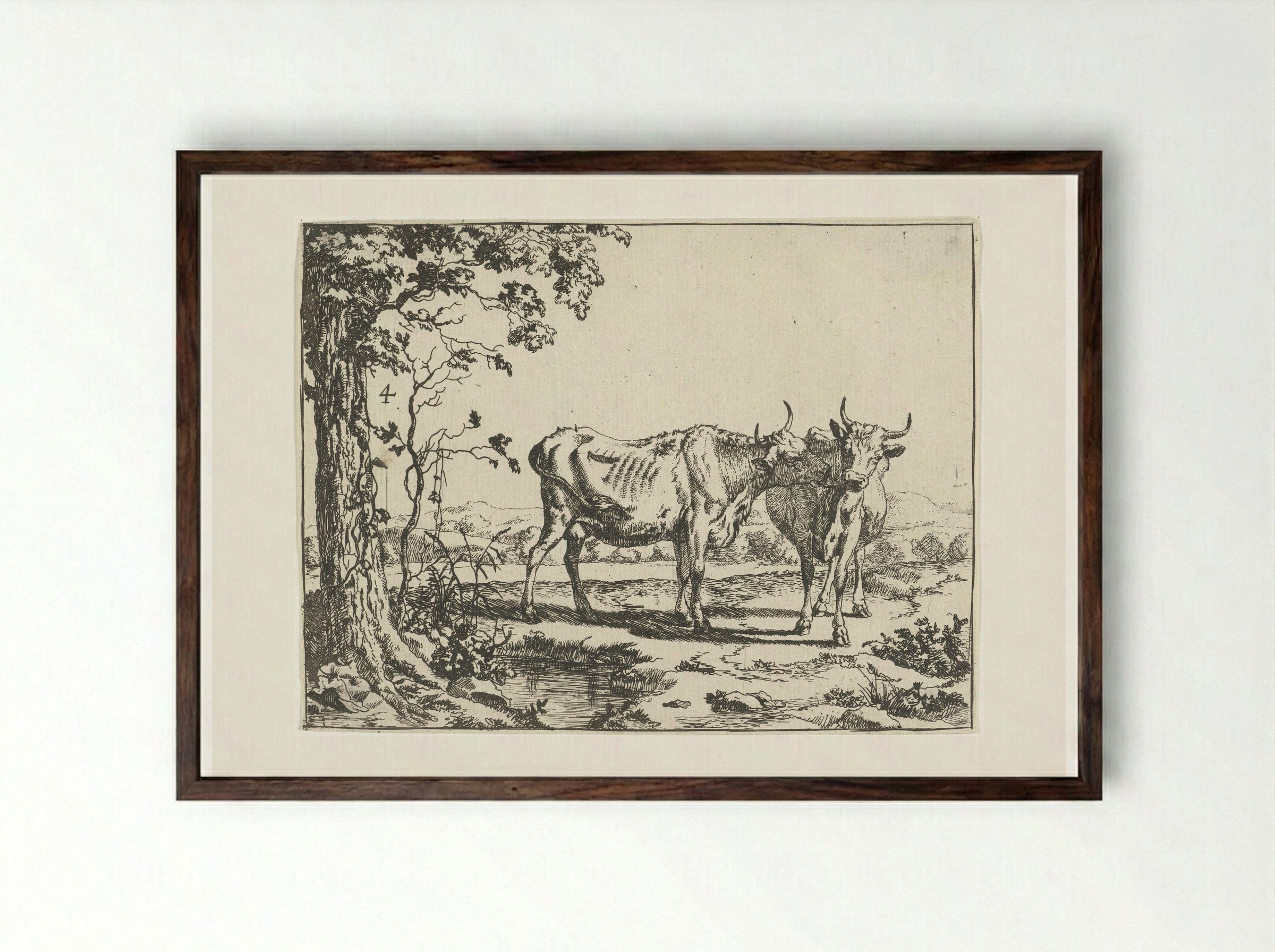 Twee koeien elkaar likkend - Marcus de Bye - Framed Print Dark Wood