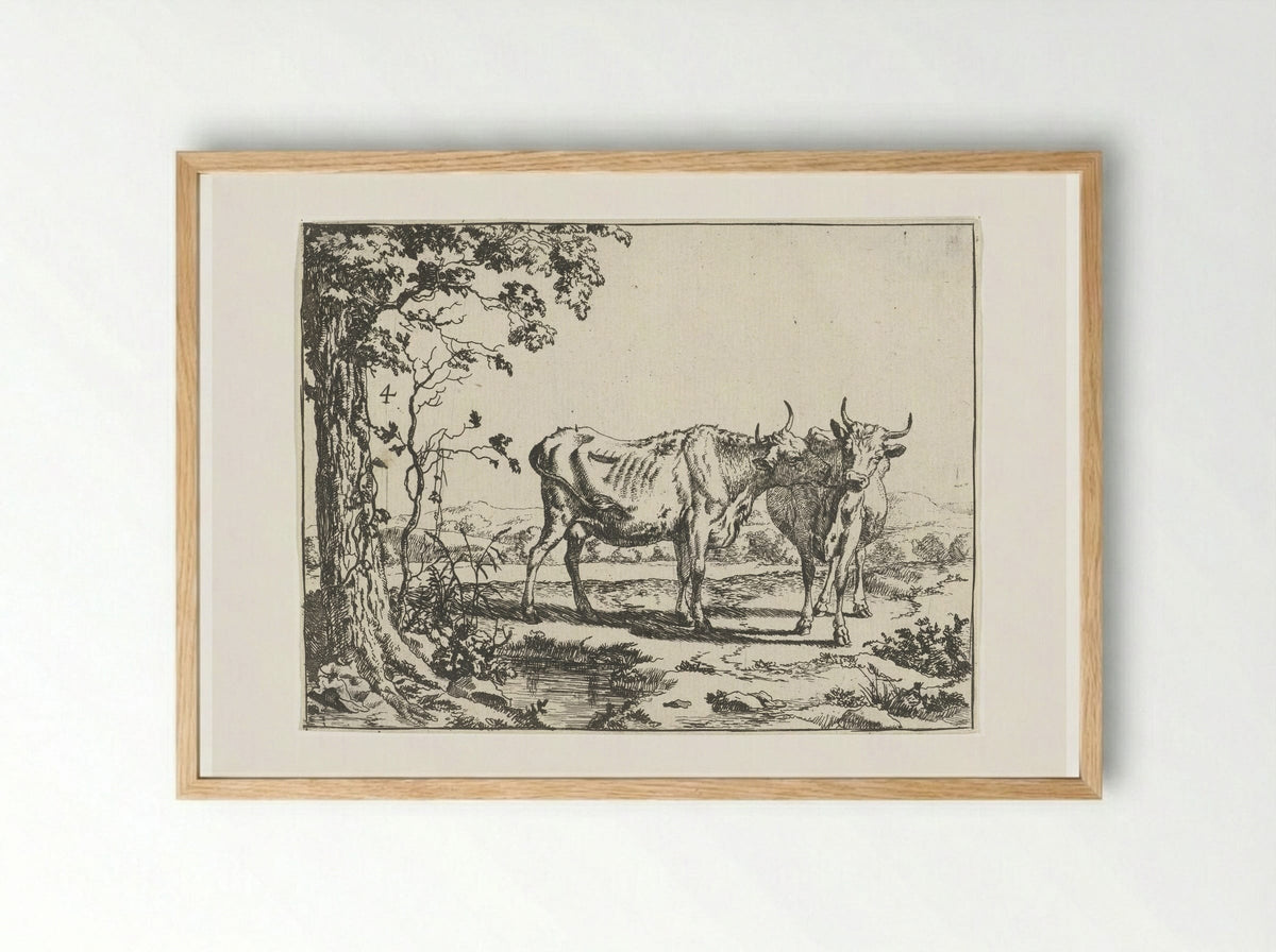 Twee koeien elkaar likkend - Marcus de Bye - Framed Print Wood