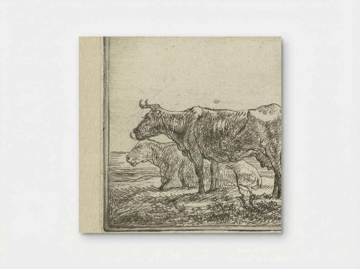 Twee koeien op rivieroever - Aelbert Cuyp - Poster