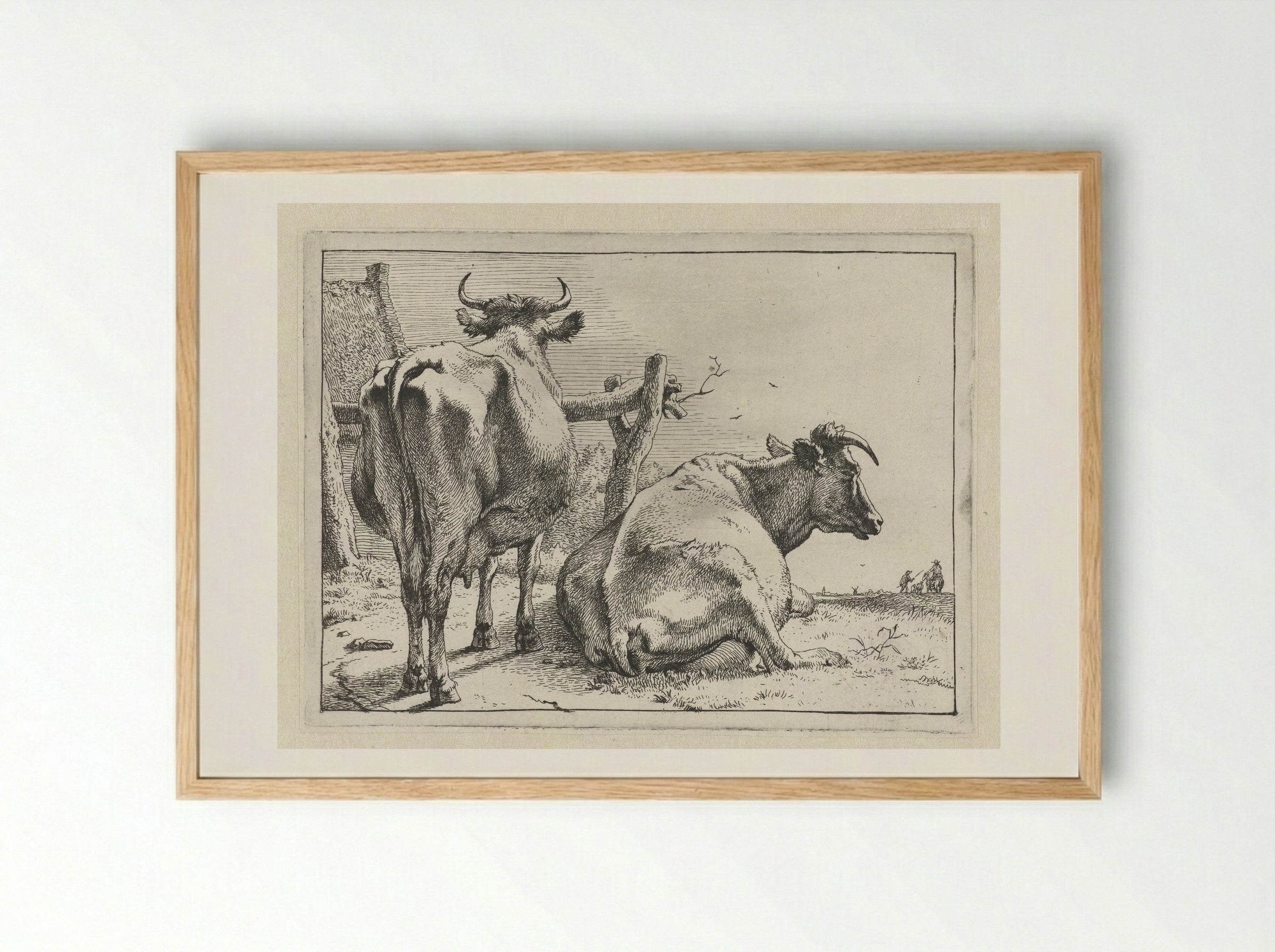 Twee koeien van achteren gezien - Paulus Potter - Framed Print Wood