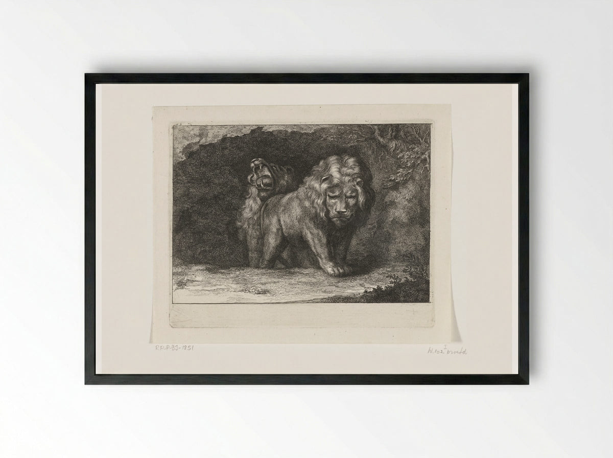Twee leeuwen bij de ingang van hun hol - Abraham Bloteling - Framed Print Black