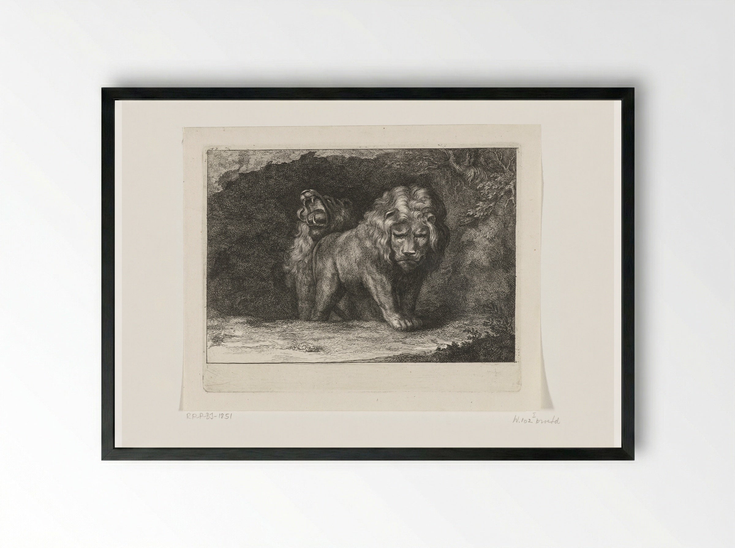 Twee leeuwen bij de ingang van hun hol - Abraham Bloteling - Framed Print Black