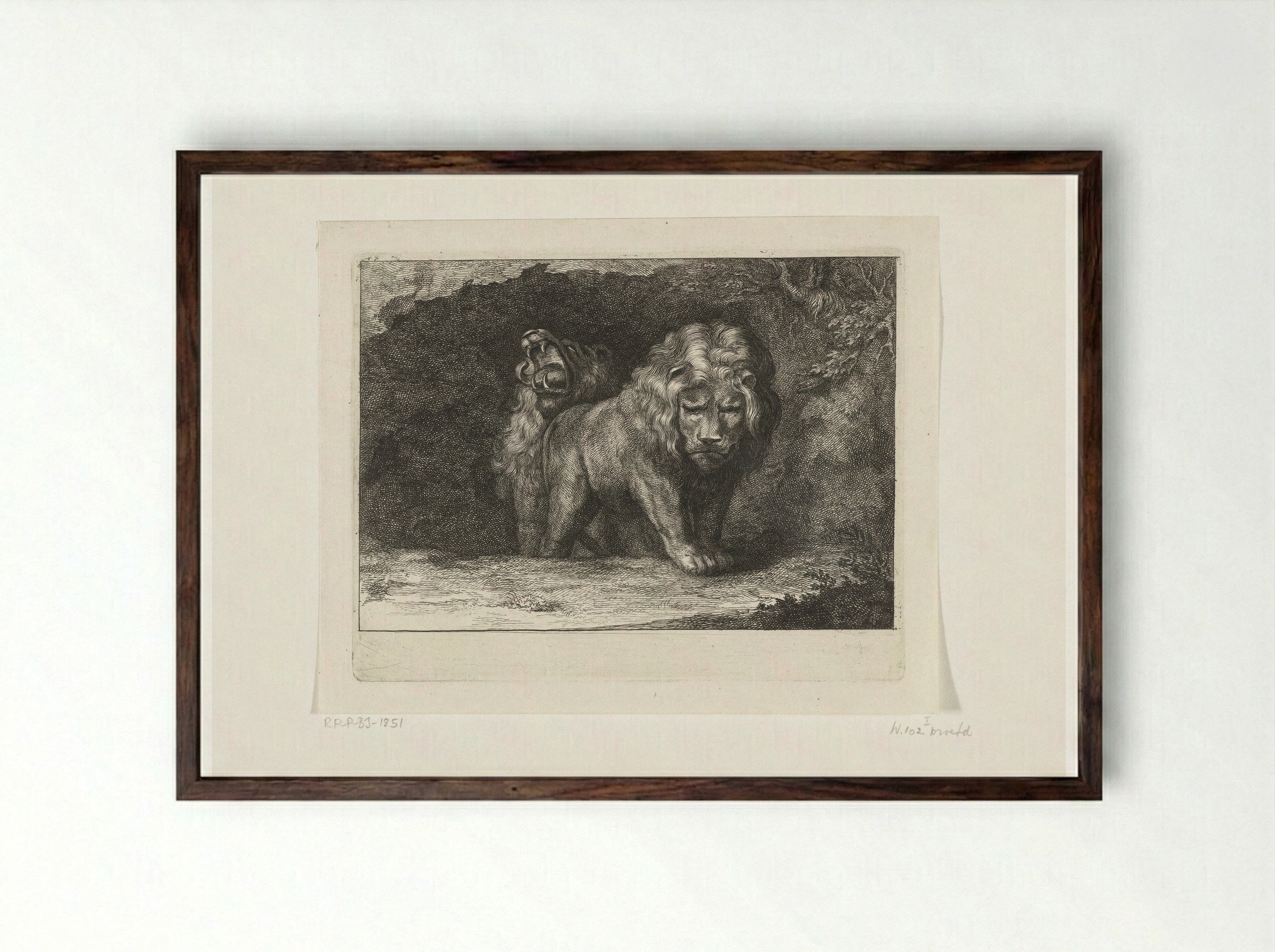 Twee leeuwen bij de ingang van hun hol - Abraham Bloteling - Framed Print Dark Wood