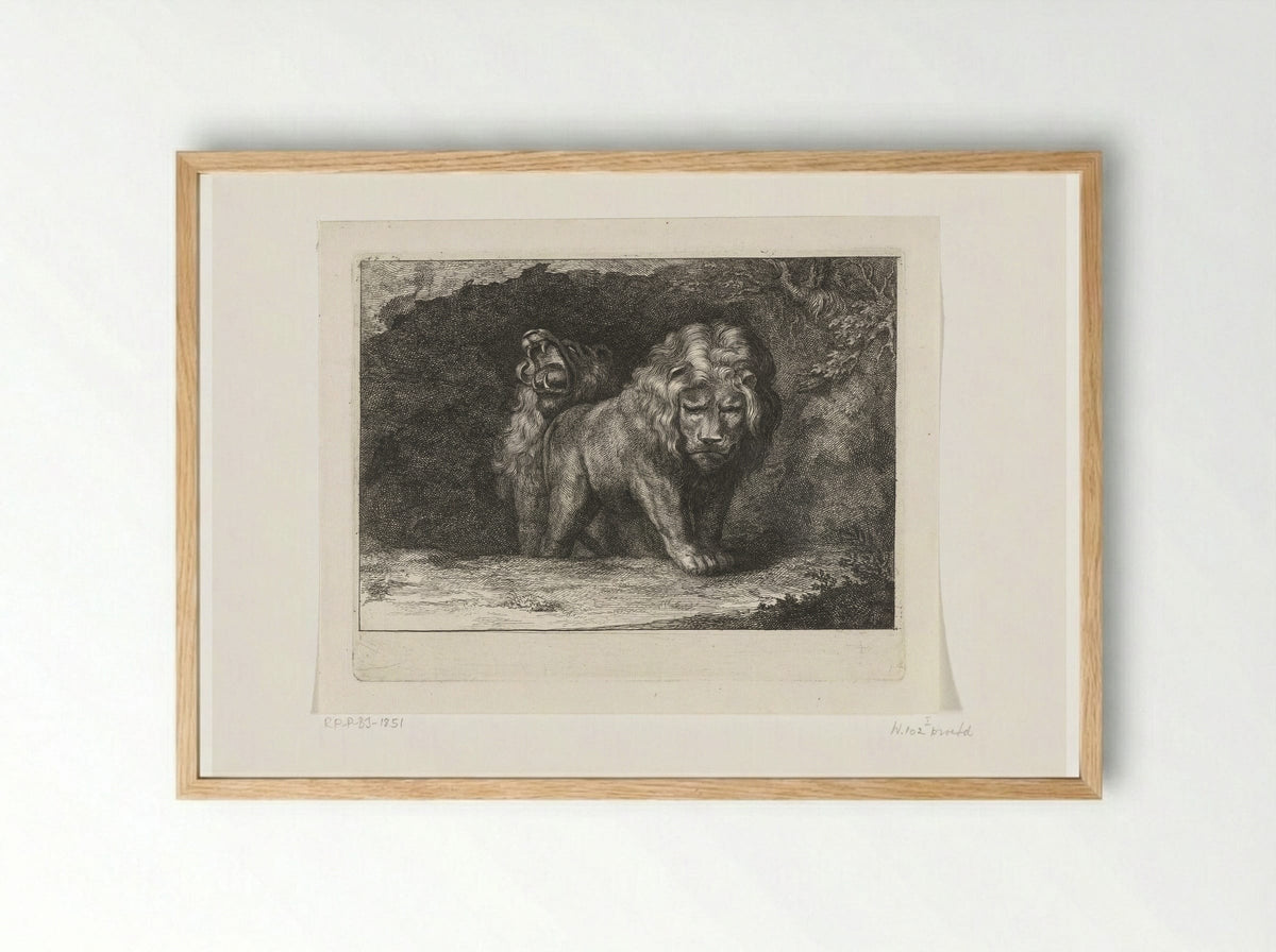 Twee leeuwen bij de ingang van hun hol - Abraham Bloteling - Framed Print Wood