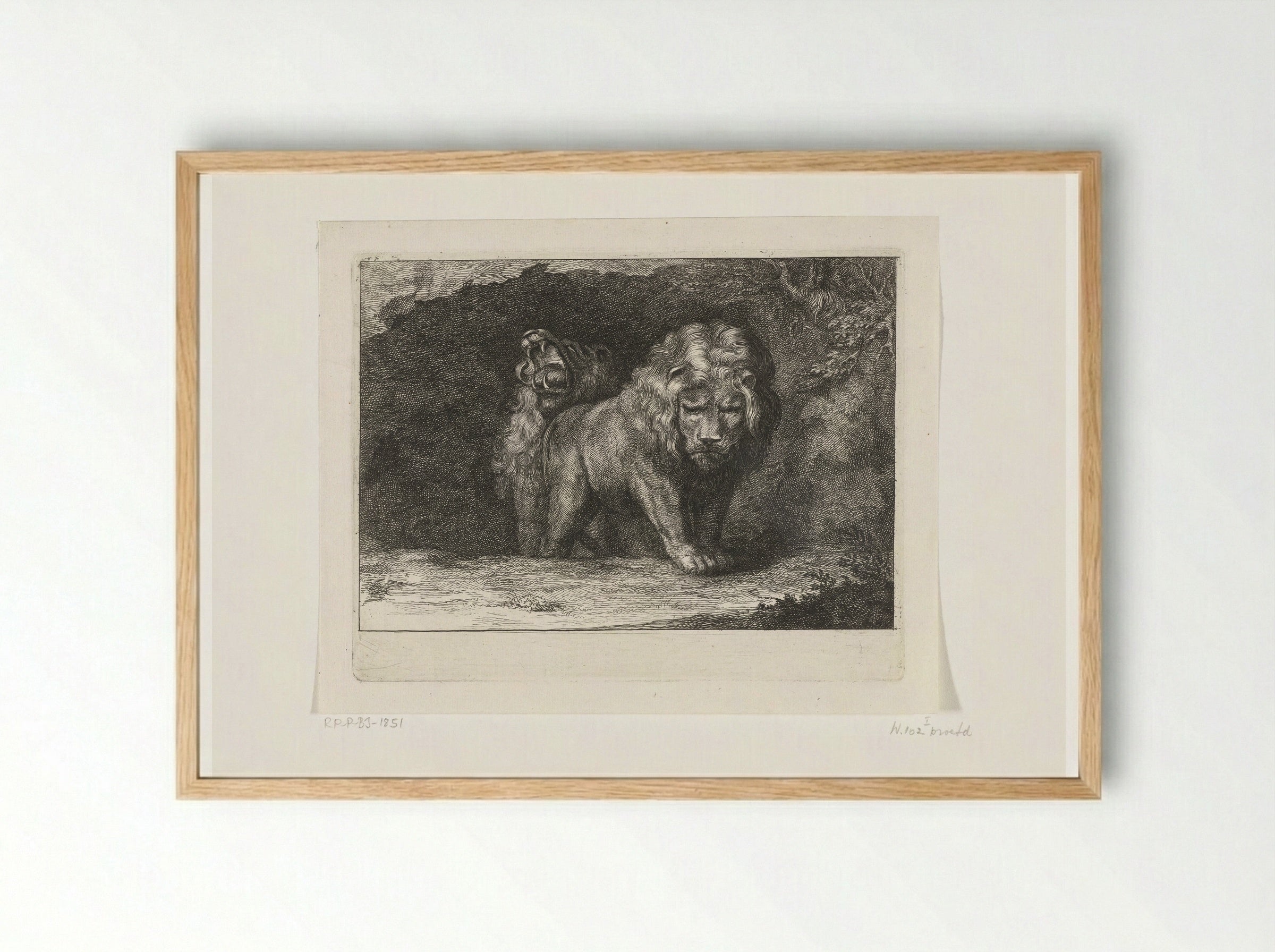 Twee leeuwen bij de ingang van hun hol - Abraham Bloteling - Framed Print Wood