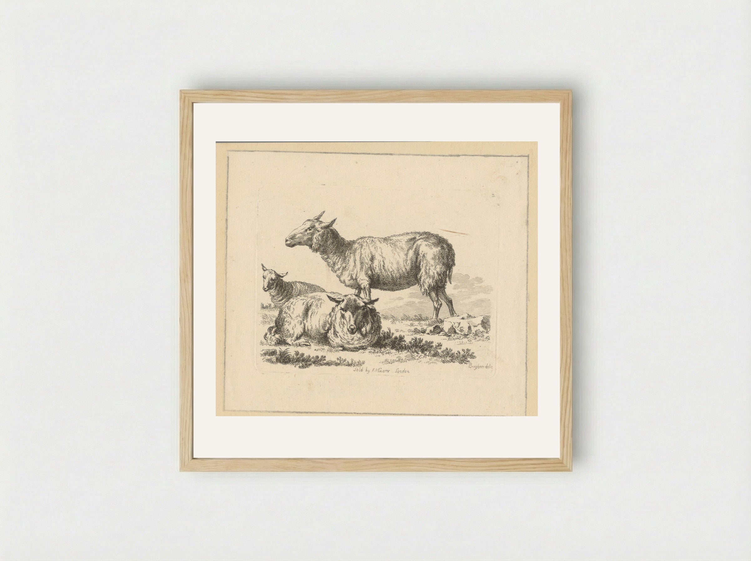 Twee liggende schapen en een stand schaap - François Vivares - Framed Print Wood