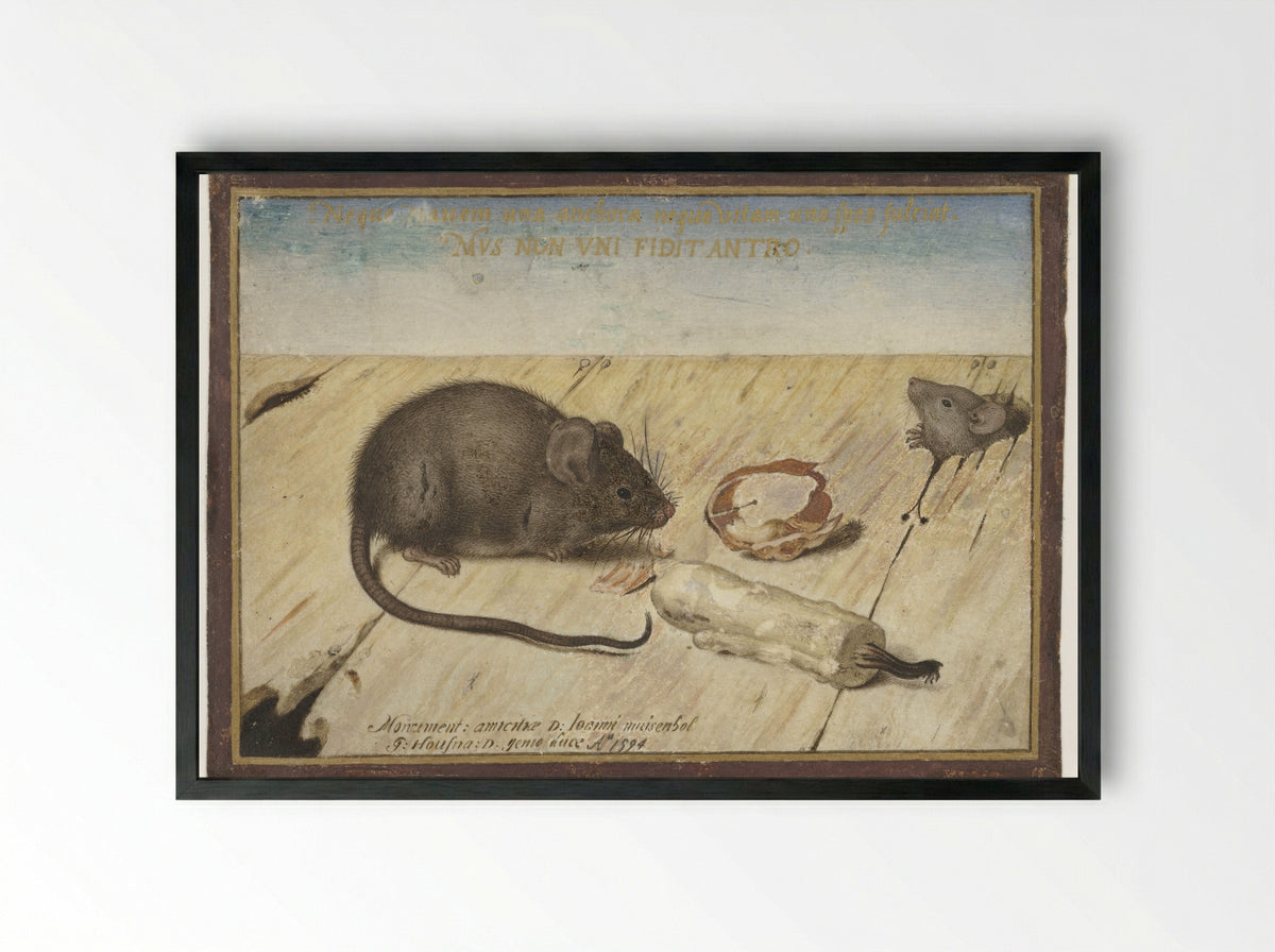Twee muizen (Two Mice) - Joris Hoefnagel - Framed Print Black