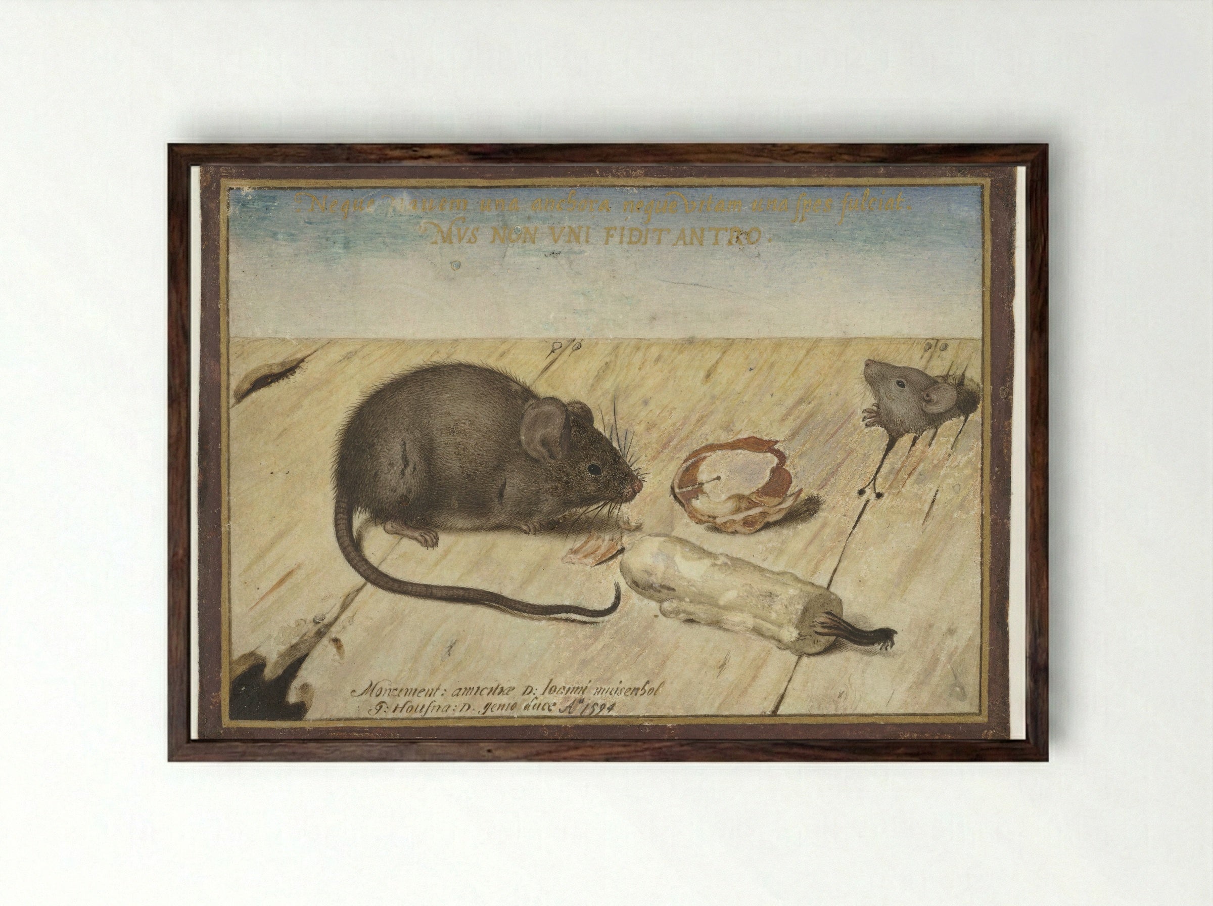 Twee muizen (Two Mice) - Joris Hoefnagel - Framed Print Dark Wood