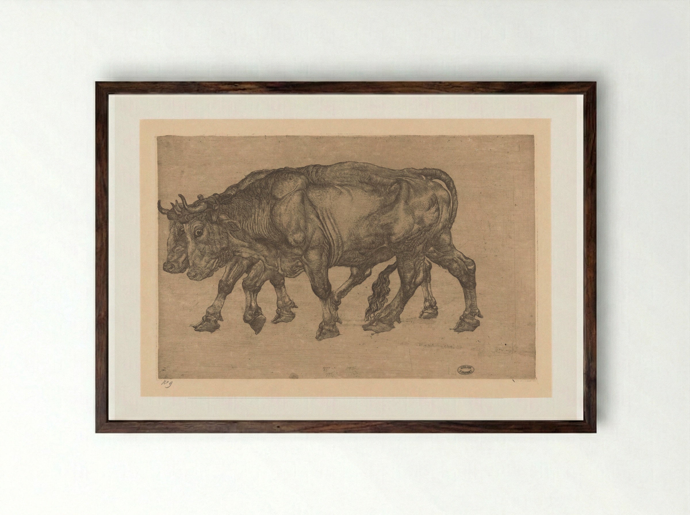 Twee ossen (Two Oxen) - Pieter Dupont - Framed Print Dark Wood
