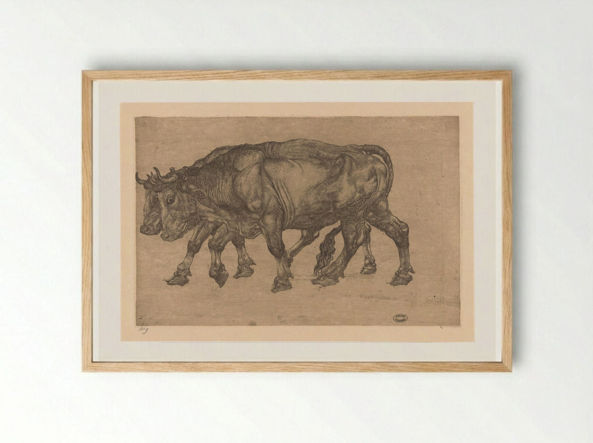 Twee ossen (Two Oxen) - Pieter Dupont - Framed Print Wood