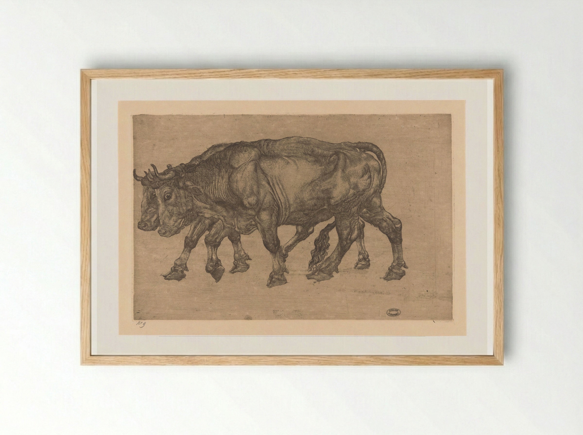 Twee ossen (Two Oxen) - Pieter Dupont - Framed Print Wood