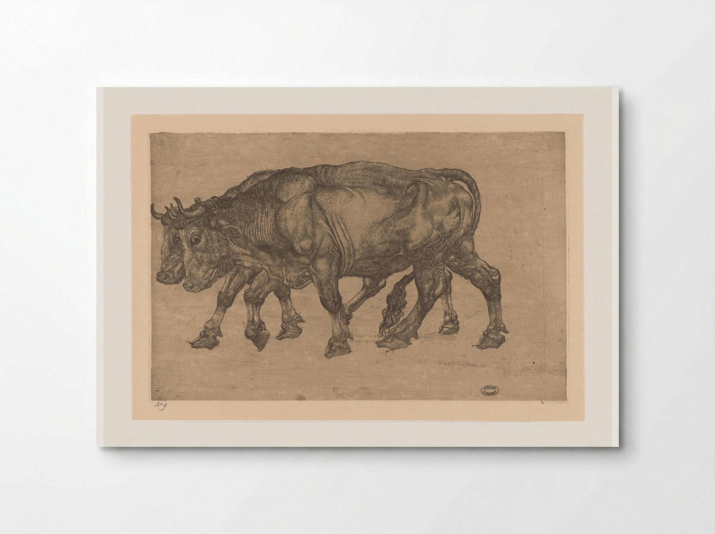 Twee ossen (Two Oxen) - Pieter Dupont - Poster