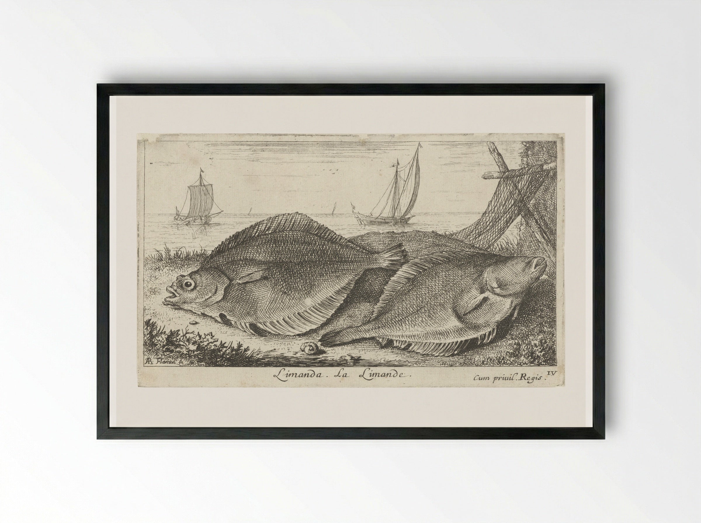 Twee scharren op het strand - Albert Flamen - Framed Print Black