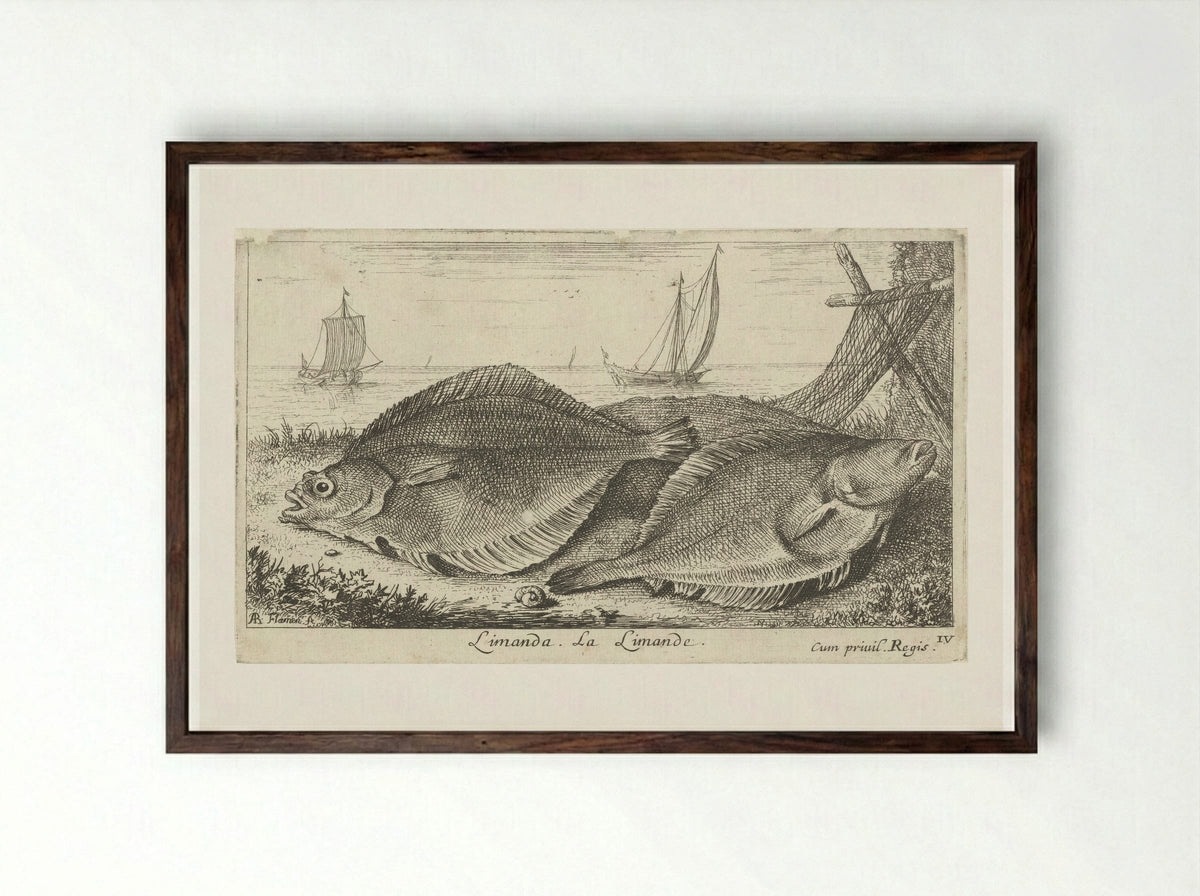 Twee scharren op het strand - Albert Flamen - Framed Print Dark Wood