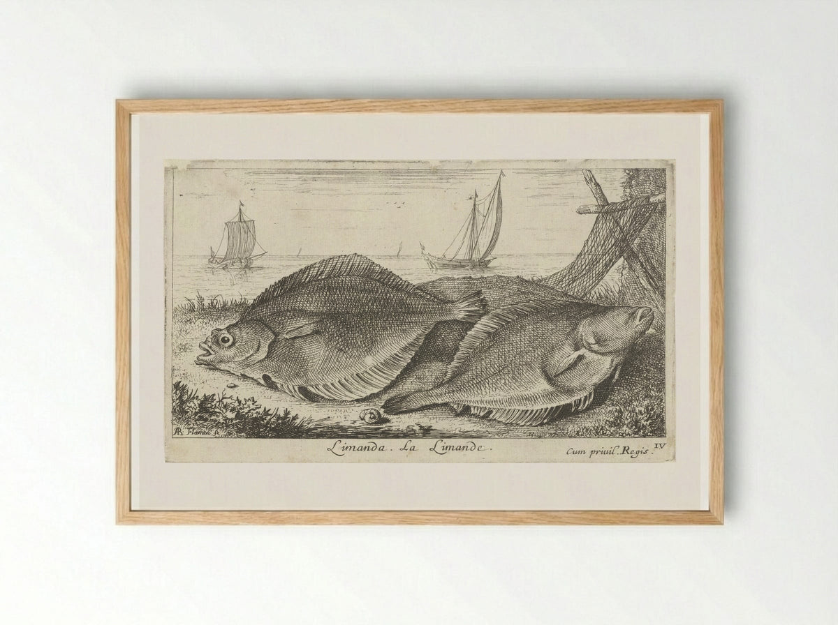 Twee scharren op het strand - Albert Flamen - Framed Print Wood