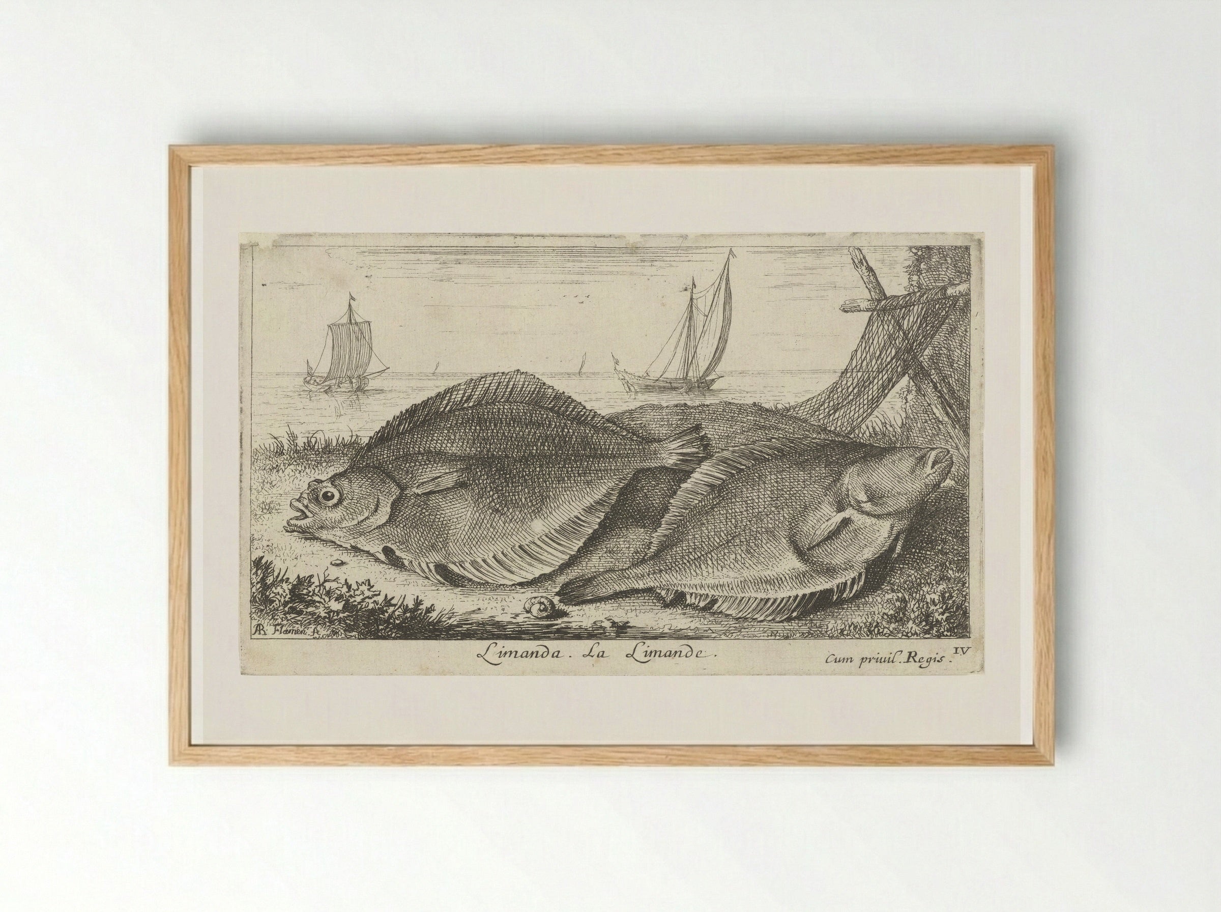 Twee scharren op het strand - Albert Flamen - Framed Print Wood