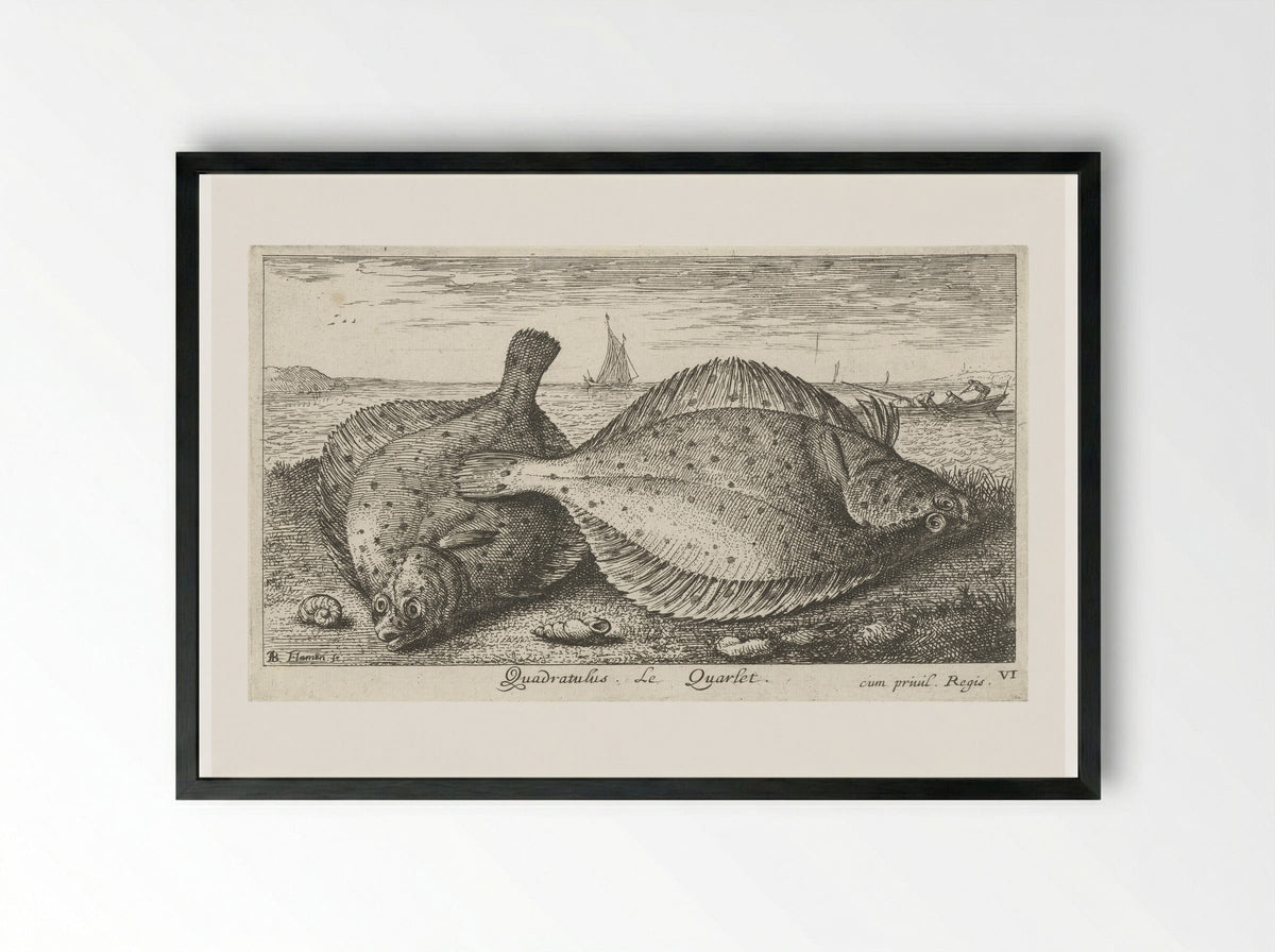 Twee schollen op het strand - Albert Flamen - Framed Print Black