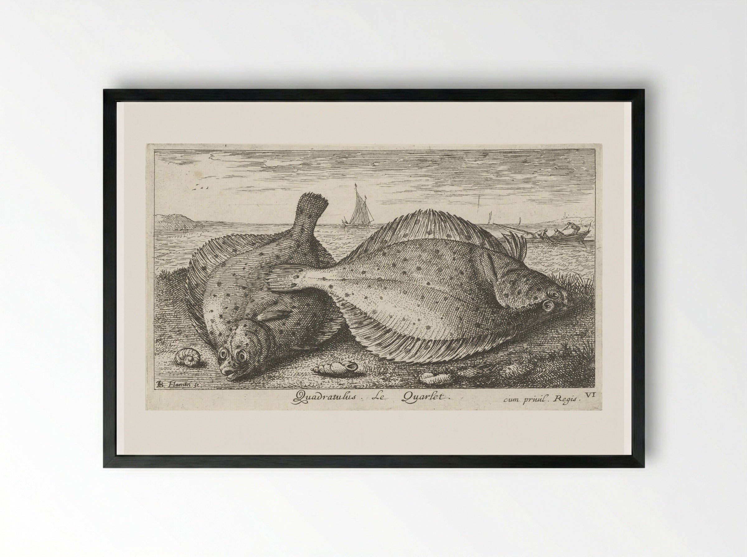 Twee schollen op het strand - Albert Flamen - Framed Print Black