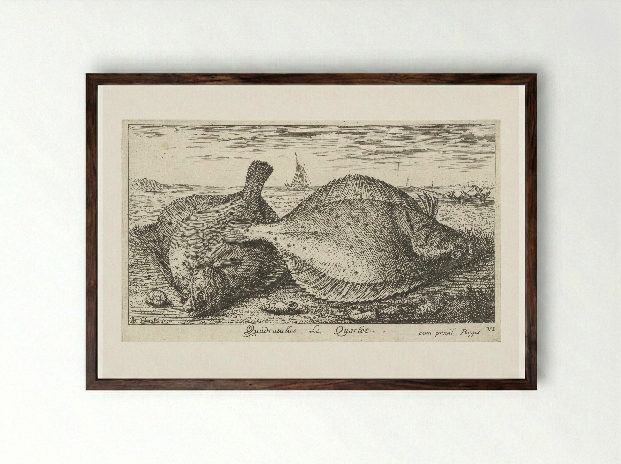 Twee schollen op het strand - Albert Flamen - Framed Print Dark Wood