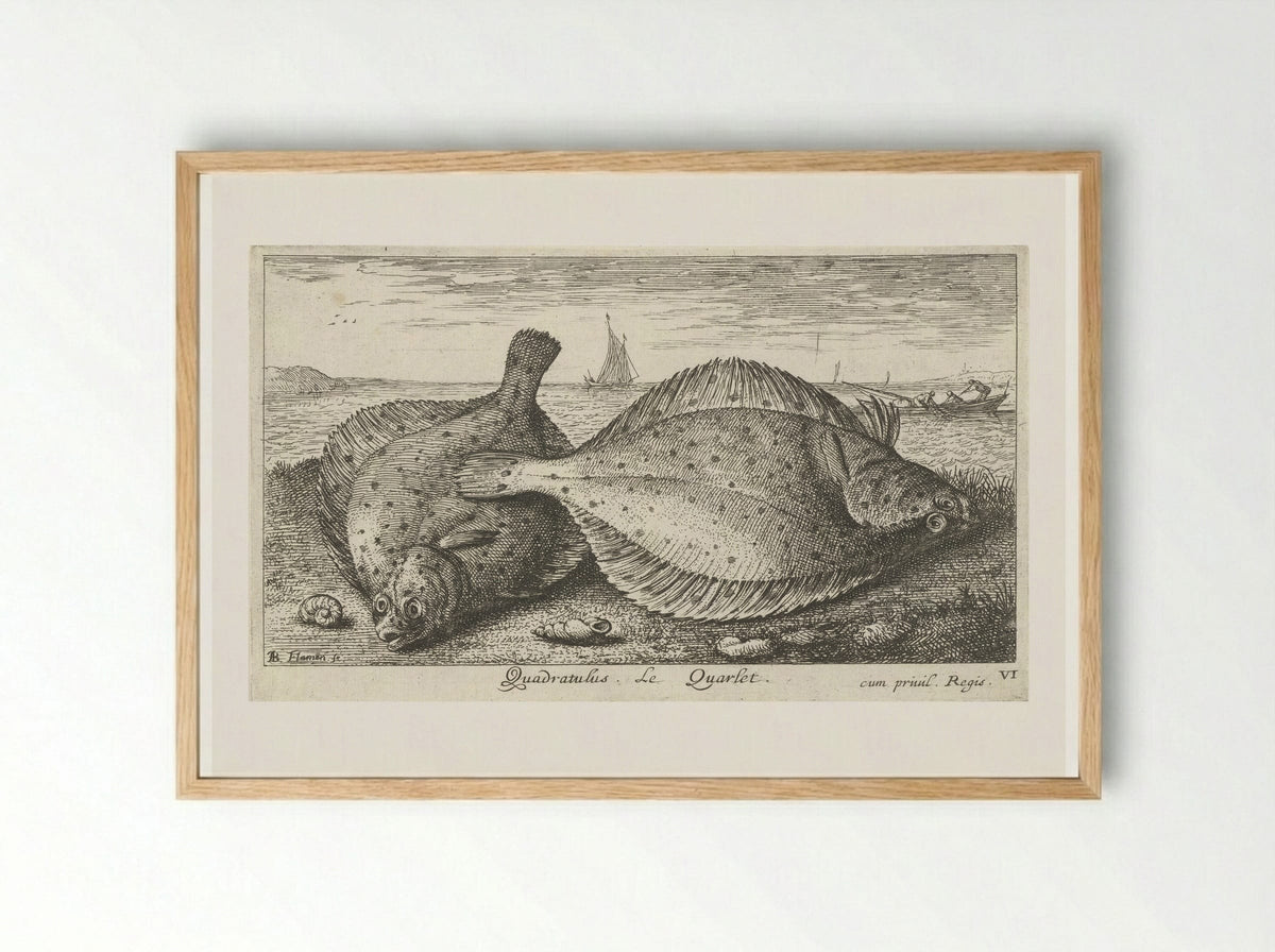 Twee schollen op het strand - Albert Flamen - Framed Print Wood