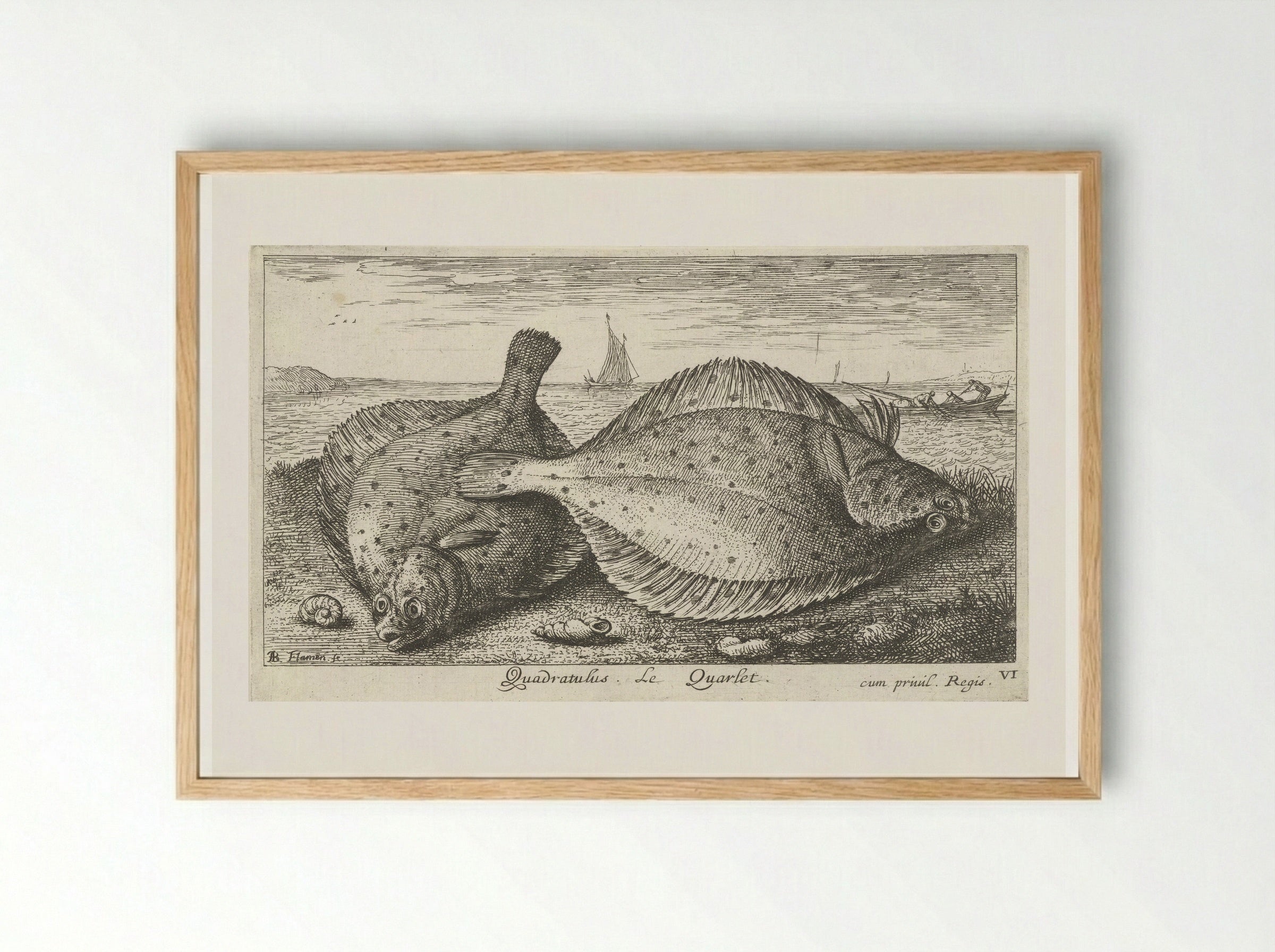 Twee schollen op het strand - Albert Flamen - Framed Print Wood