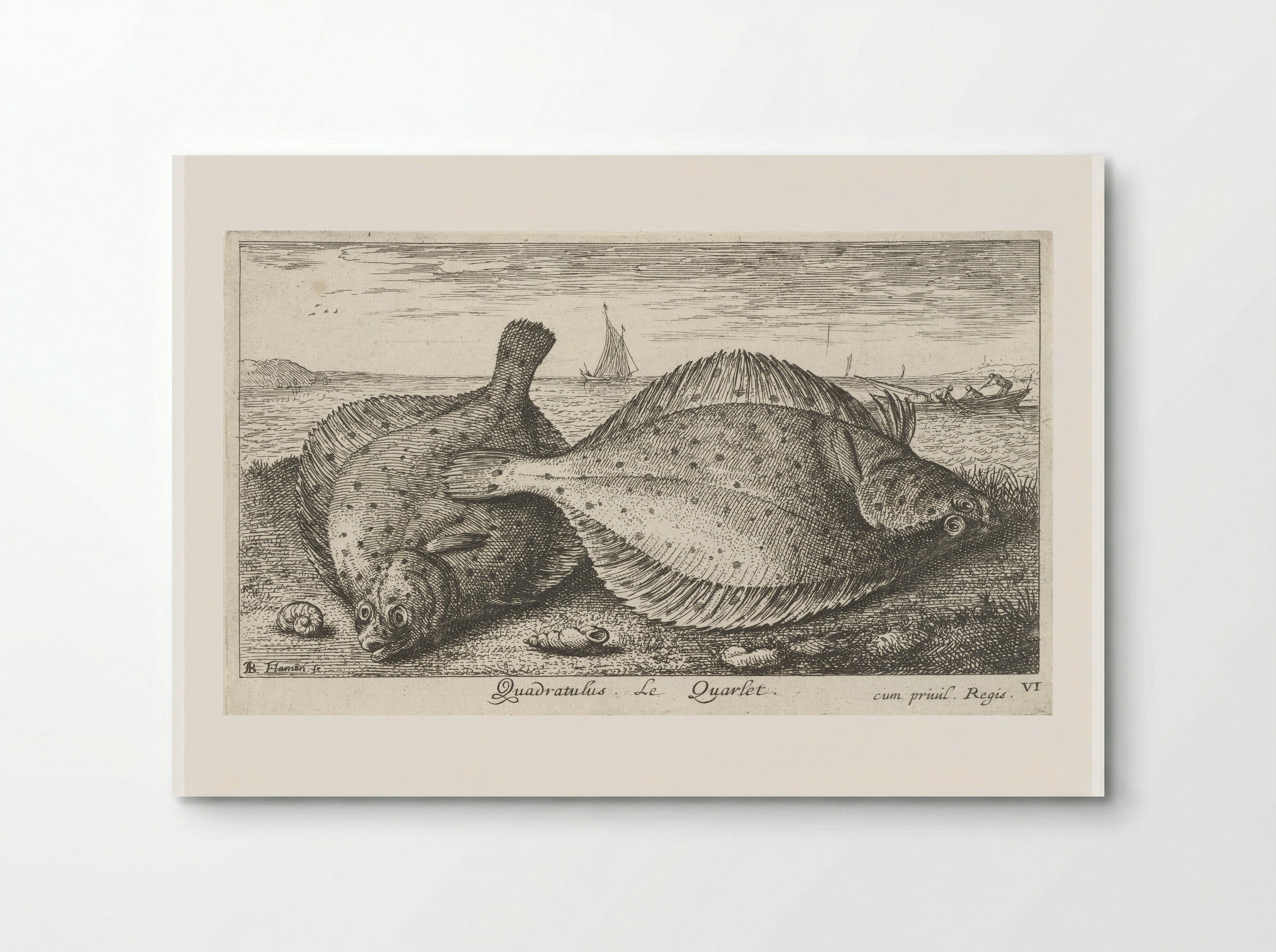 Twee schollen op het strand - Albert Flamen - Poster