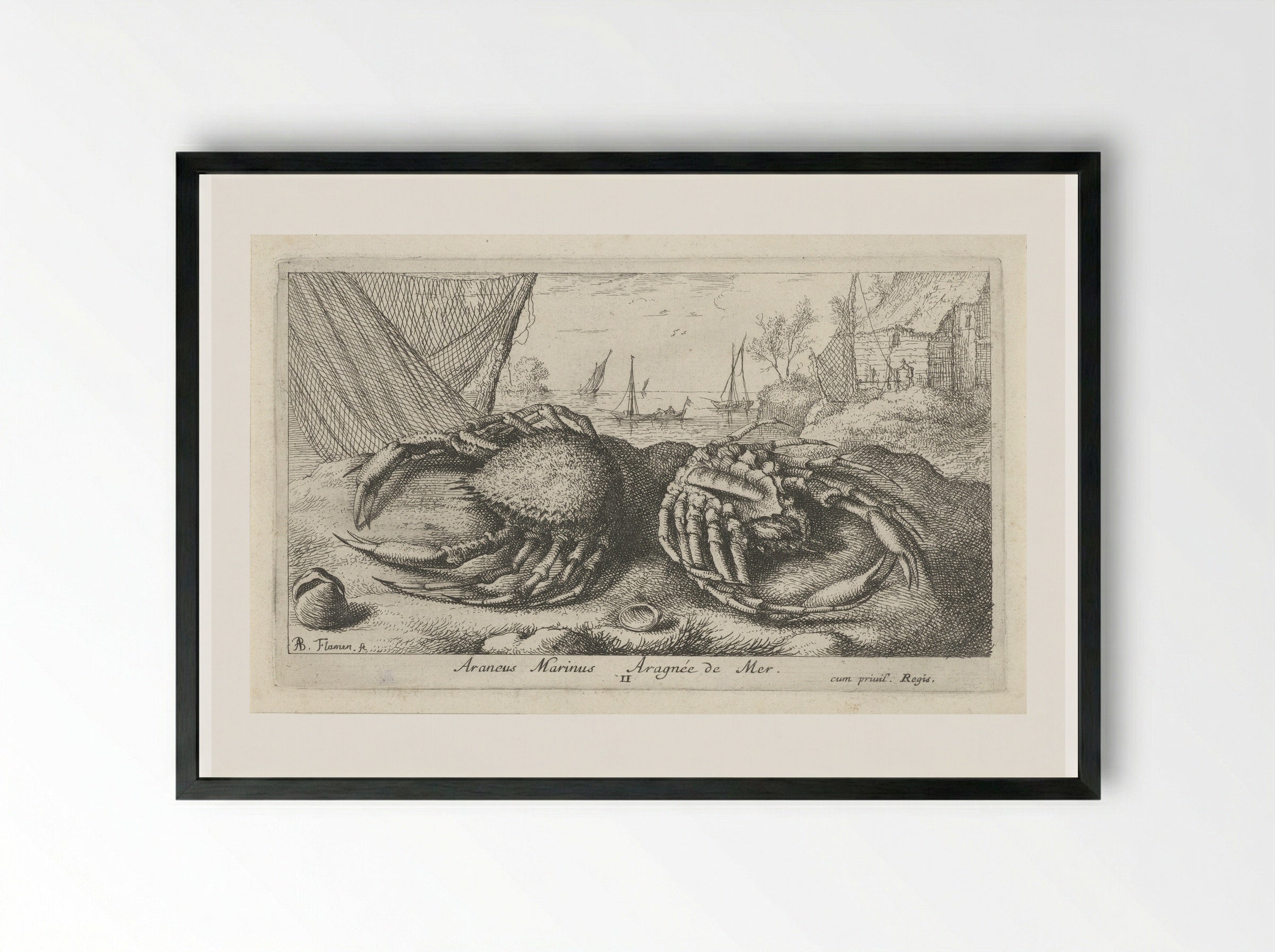 Twee spinkrabben bij een visnet - Albert Flamen - Framed Print Black