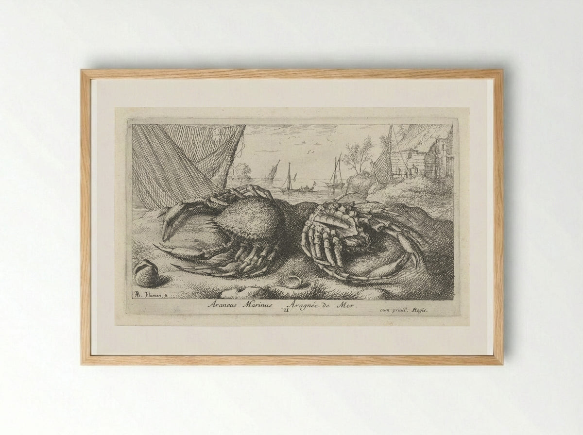 Twee spinkrabben bij een visnet - Albert Flamen - Framed Print Wood