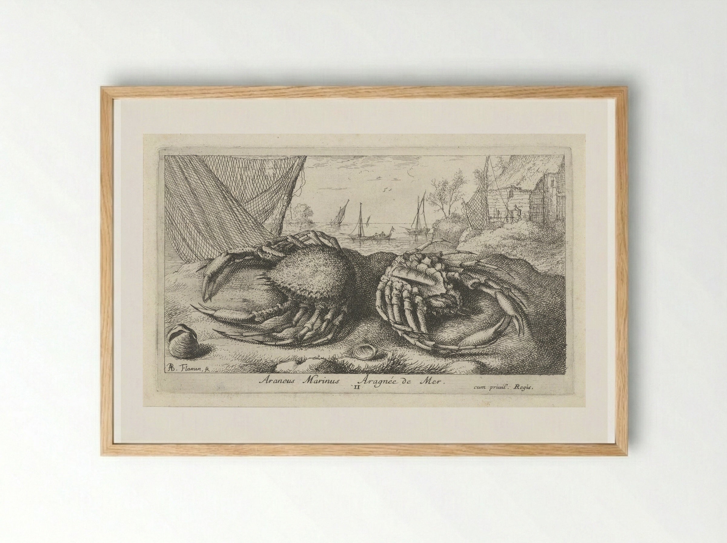 Twee spinkrabben bij een visnet - Albert Flamen - Framed Print Wood