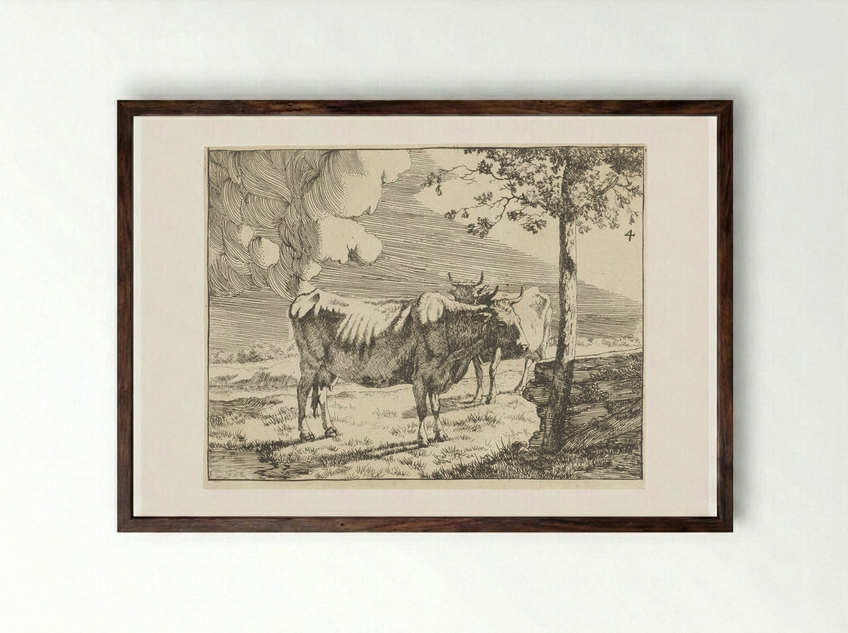 Twee staande koeien - Marcus de Bye - Framed Print Dark Wood