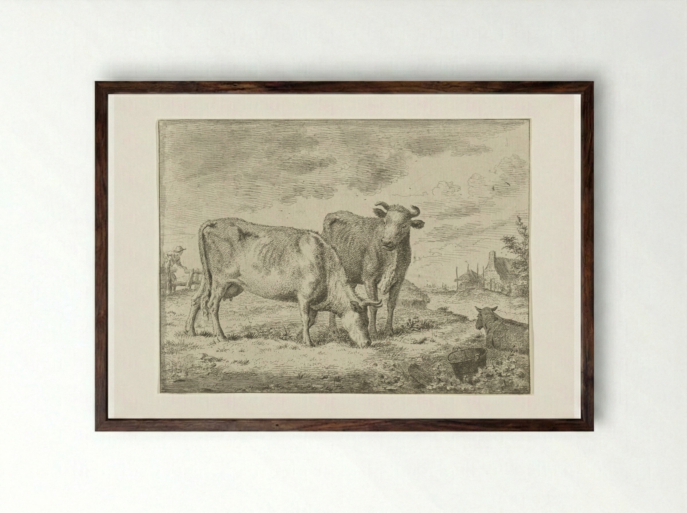 Twee staande koeien - Cornelis van Noorde - Framed Print Dark Wood
