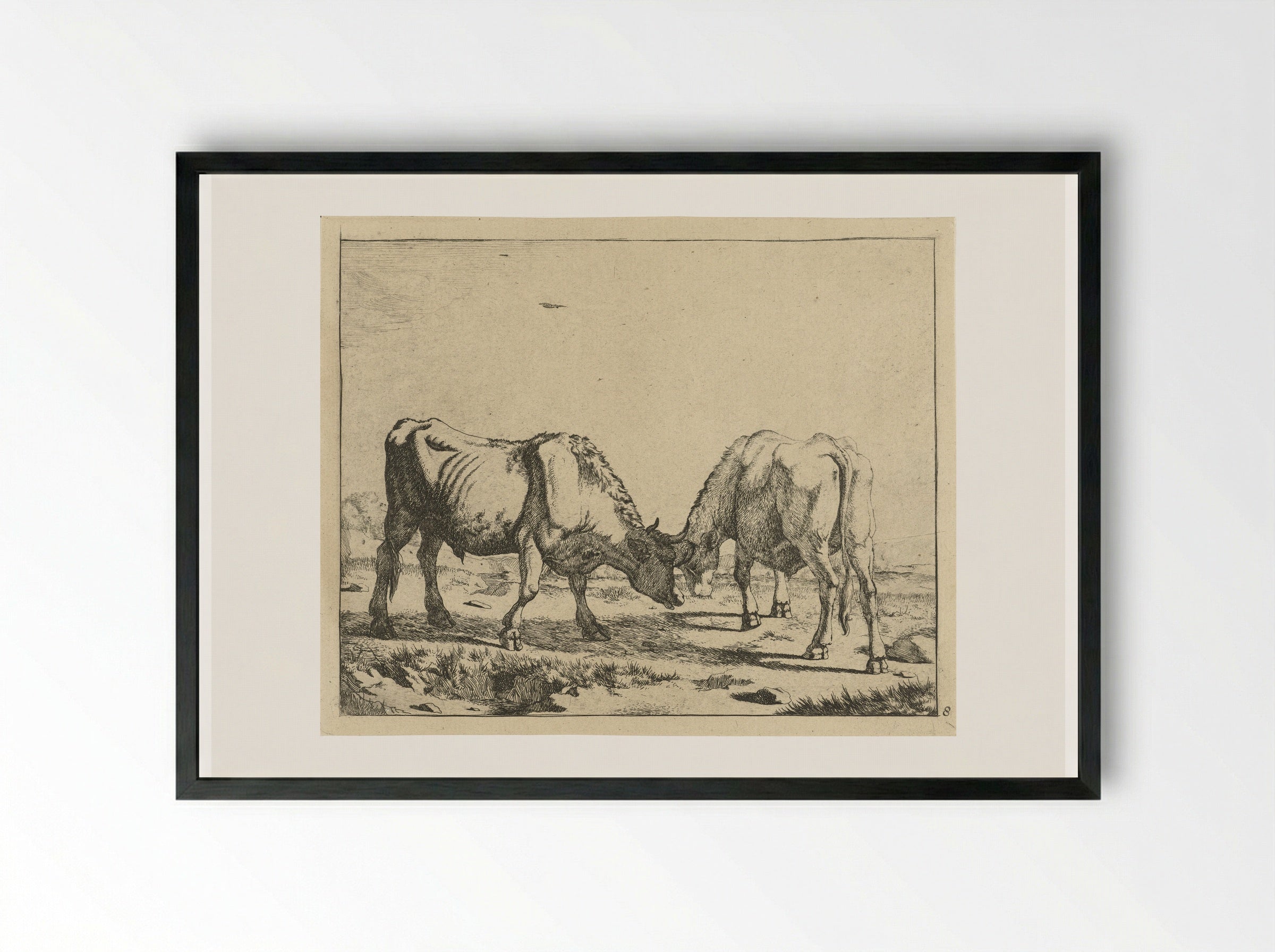 Twee stieren, de koppen bijeen - Marcus de Bye - Framed Print Black