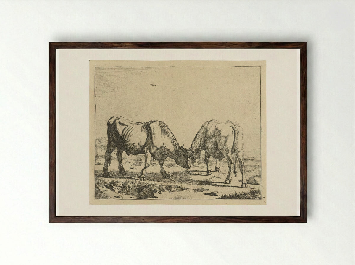 Twee stieren, de koppen bijeen - Marcus de Bye - Framed Print Dark Wood