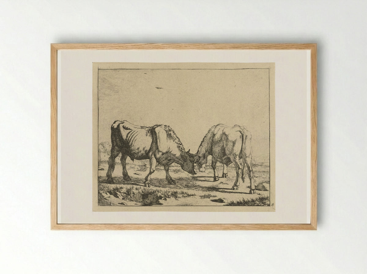 Twee stieren, de koppen bijeen - Marcus de Bye - Framed Print Wood