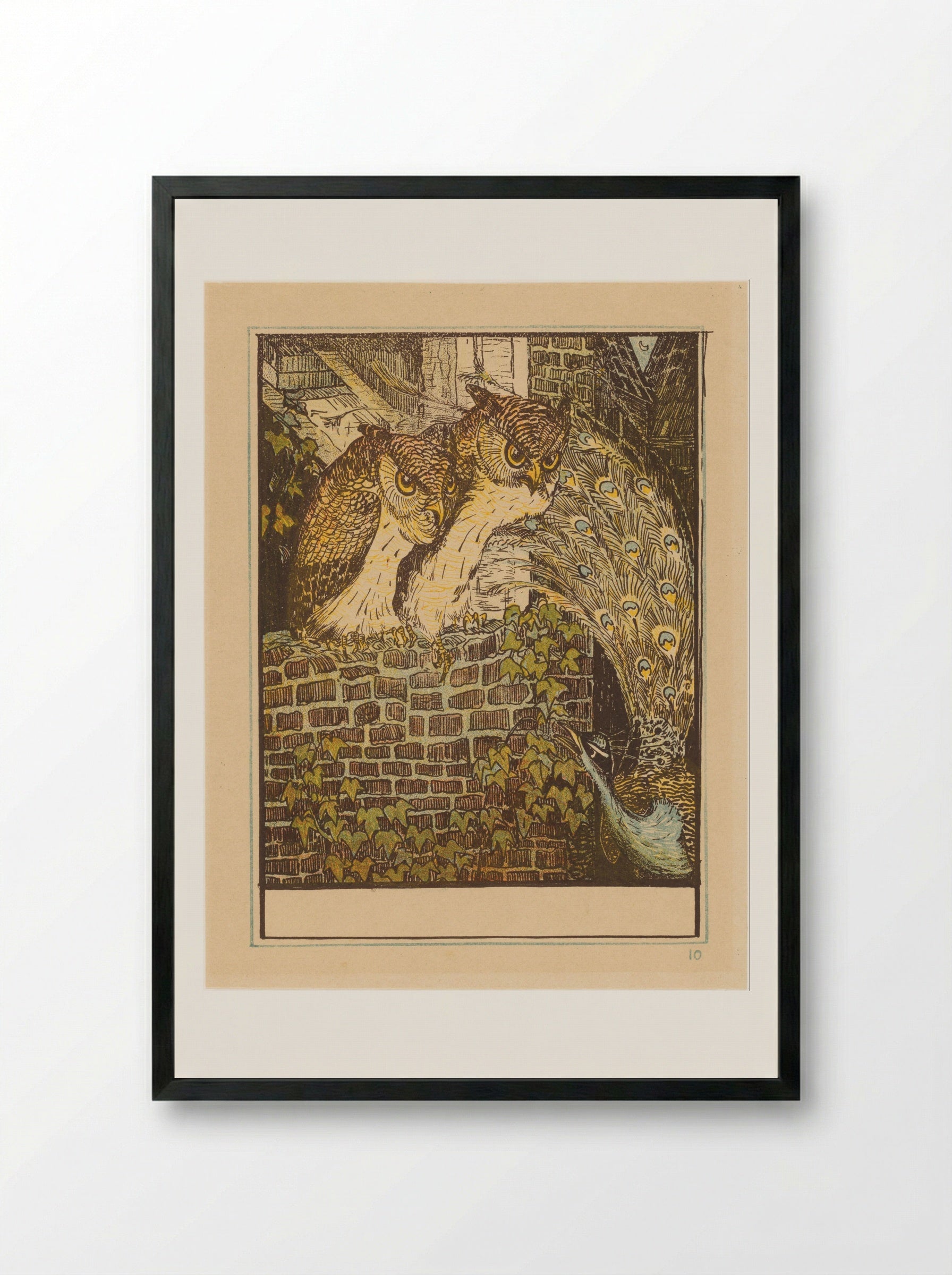 Twee uilen op een muur - Theo van Hoytema - Framed Print Black