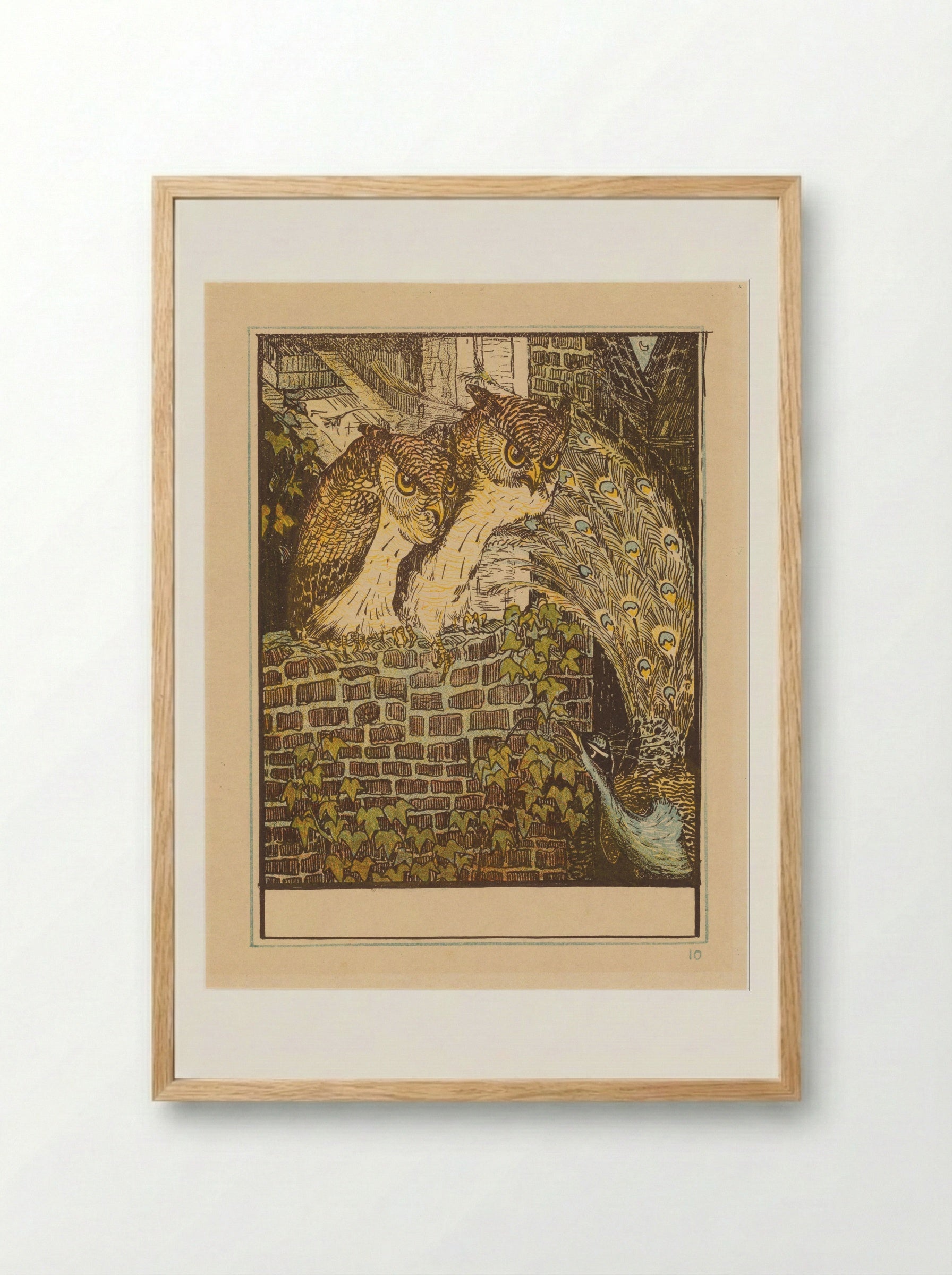 Twee uilen op een muur - Theo van Hoytema - Framed Print Wood