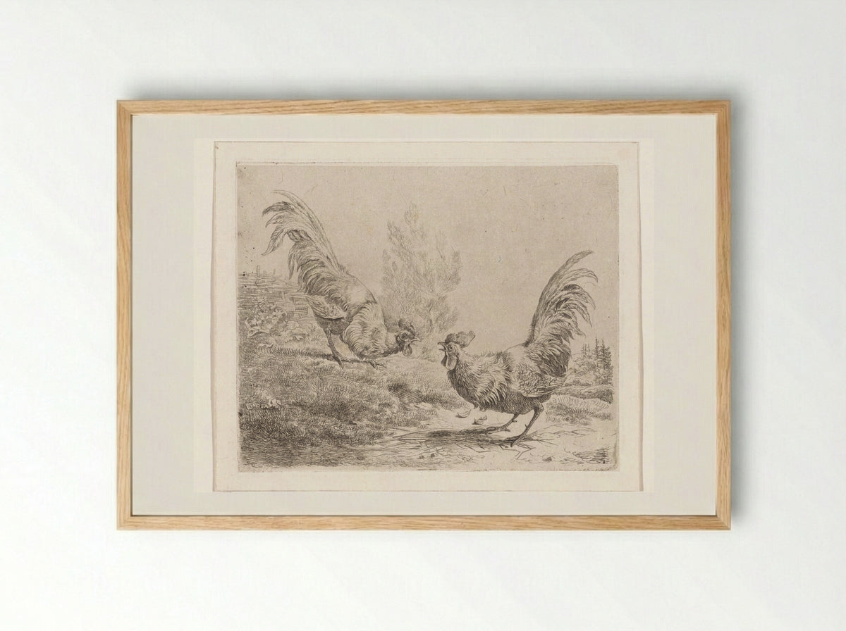 Twee vechtende hanen - Albertus Verhoesen - Framed Print Wood