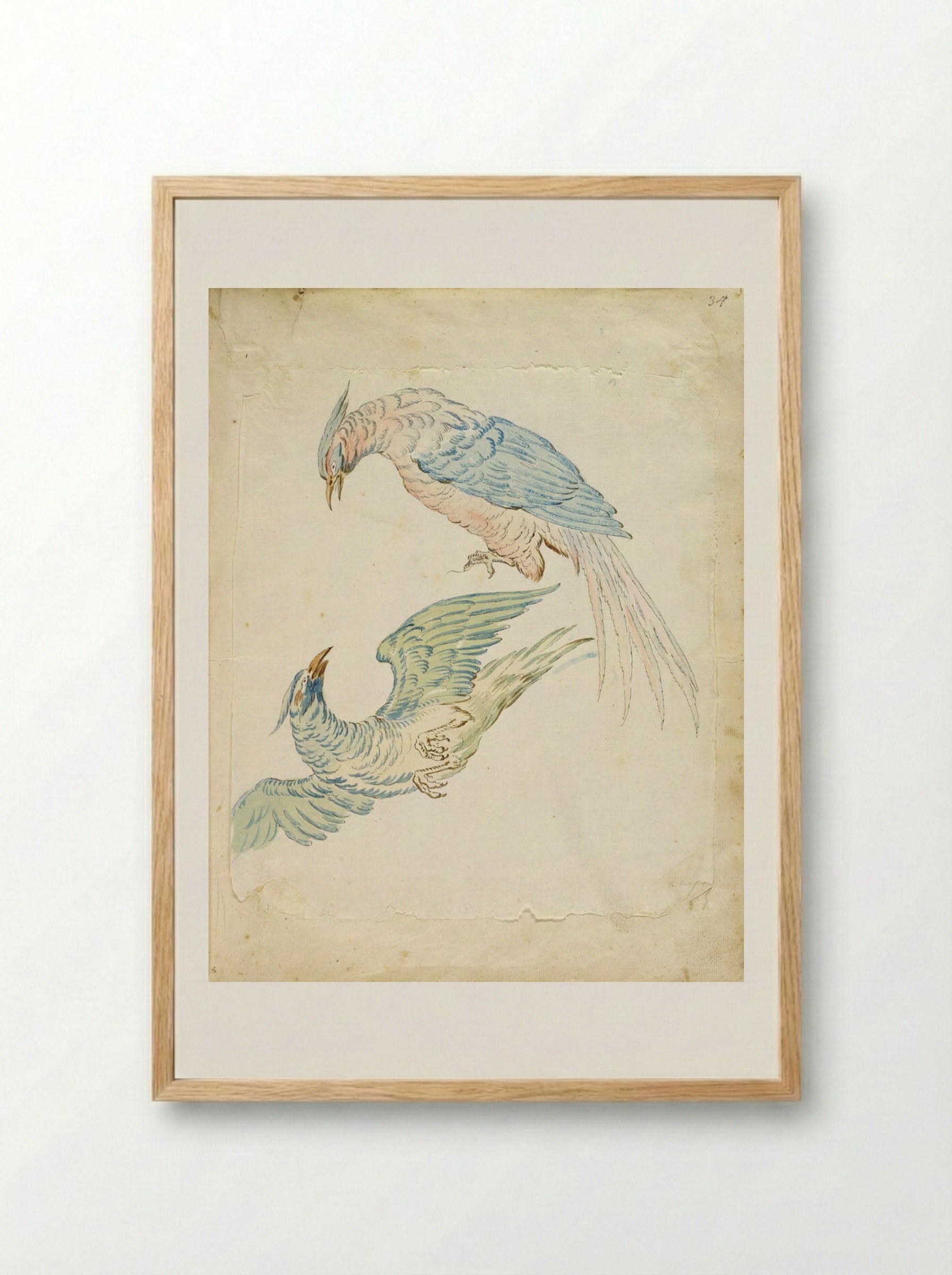 Two Birds, One Perched and One in Flight - Jean-Baptiste Oudry - Framed Print Wood