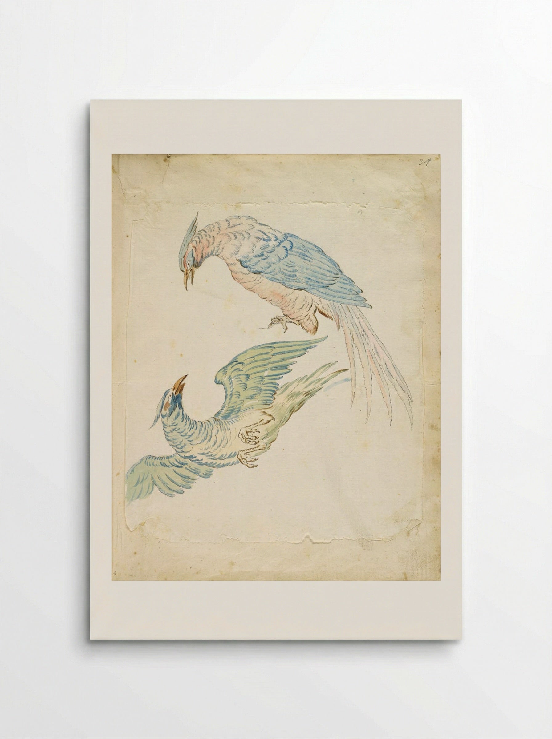 Two Birds, One Perched and One in Flight - Jean-Baptiste Oudry - Poster