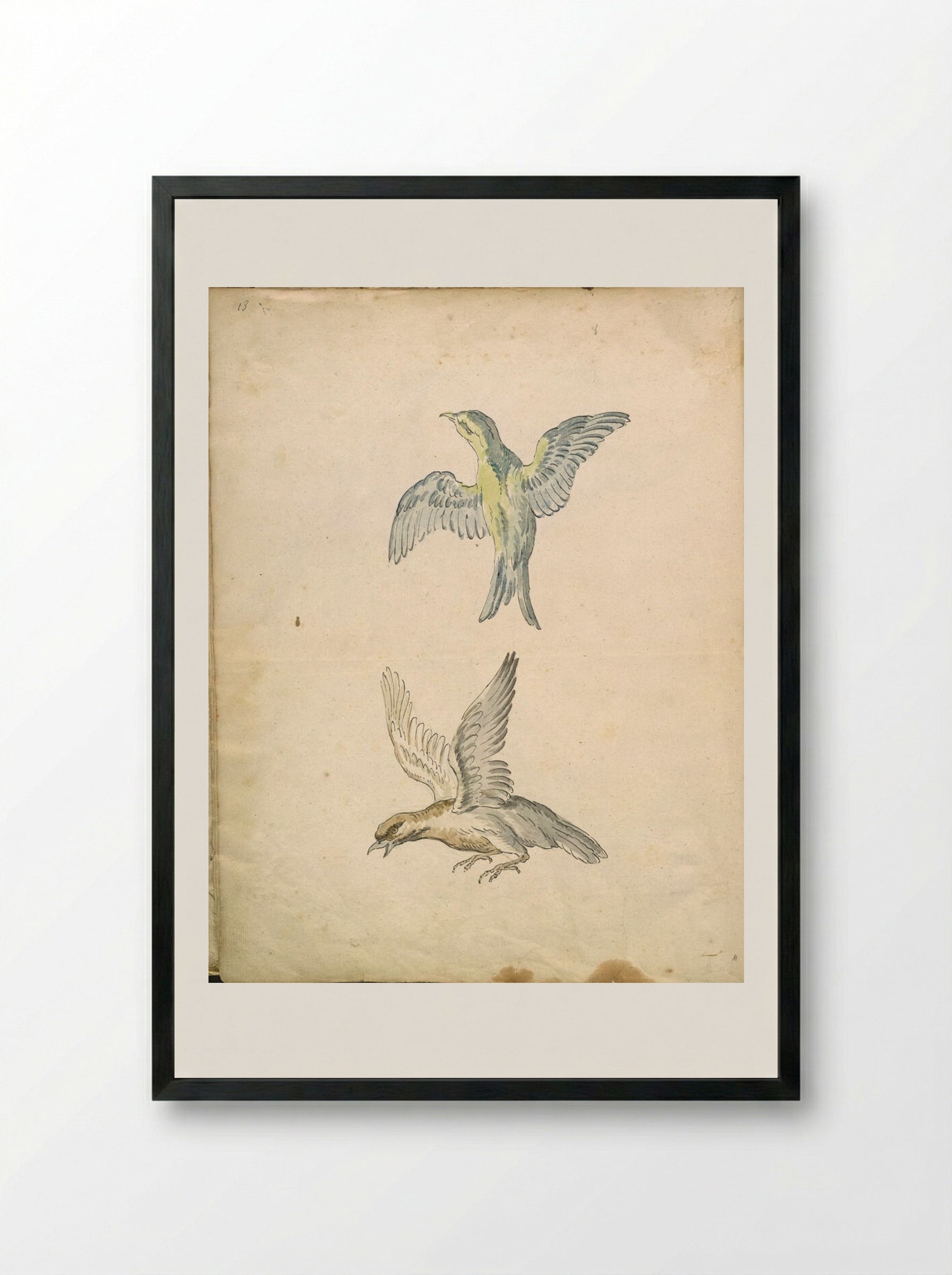 Two Birds in Flight - Jean-Baptiste Oudry - Framed Print Black