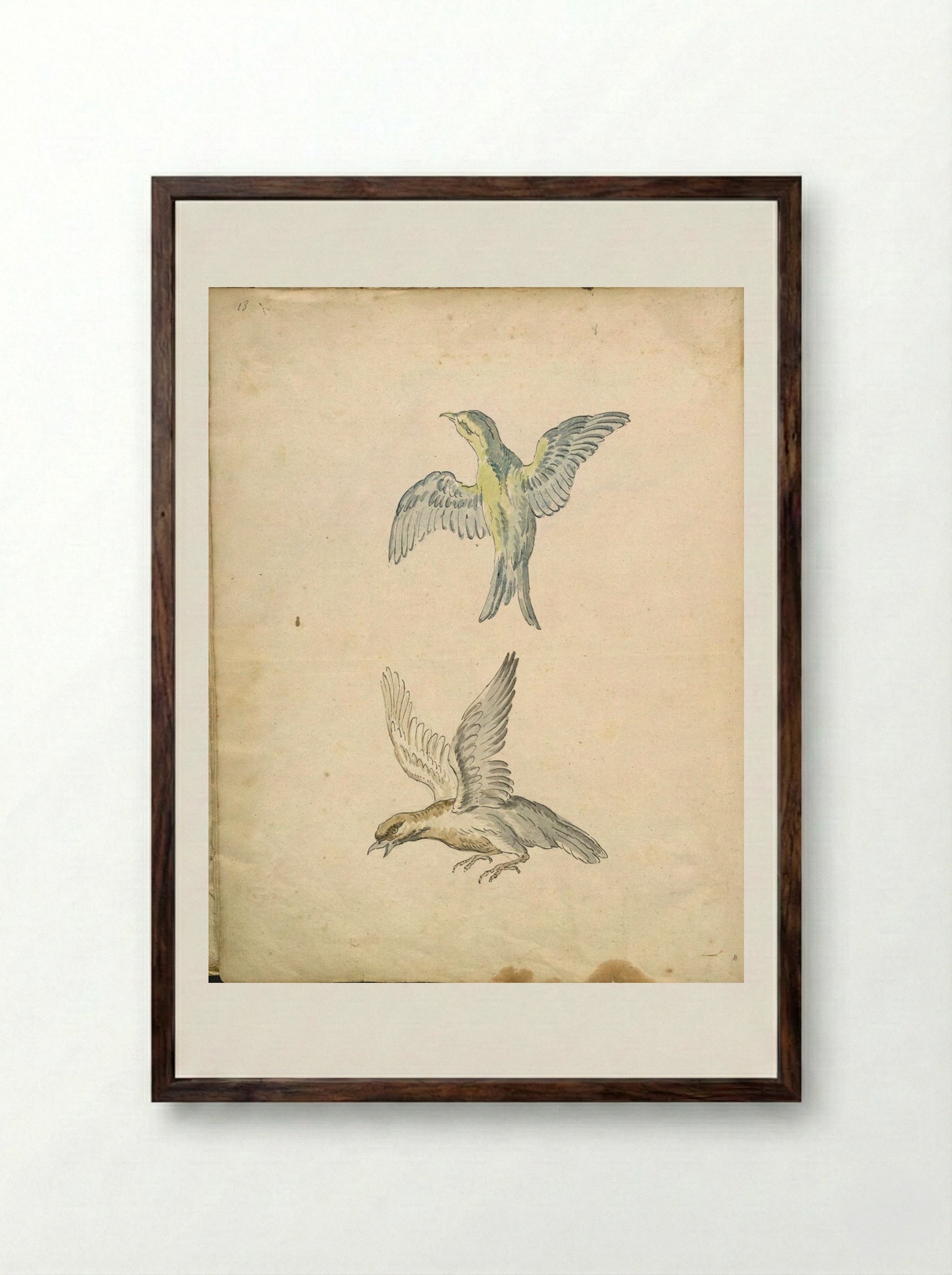Two Birds in Flight - Jean-Baptiste Oudry - Framed Print Dark Wood