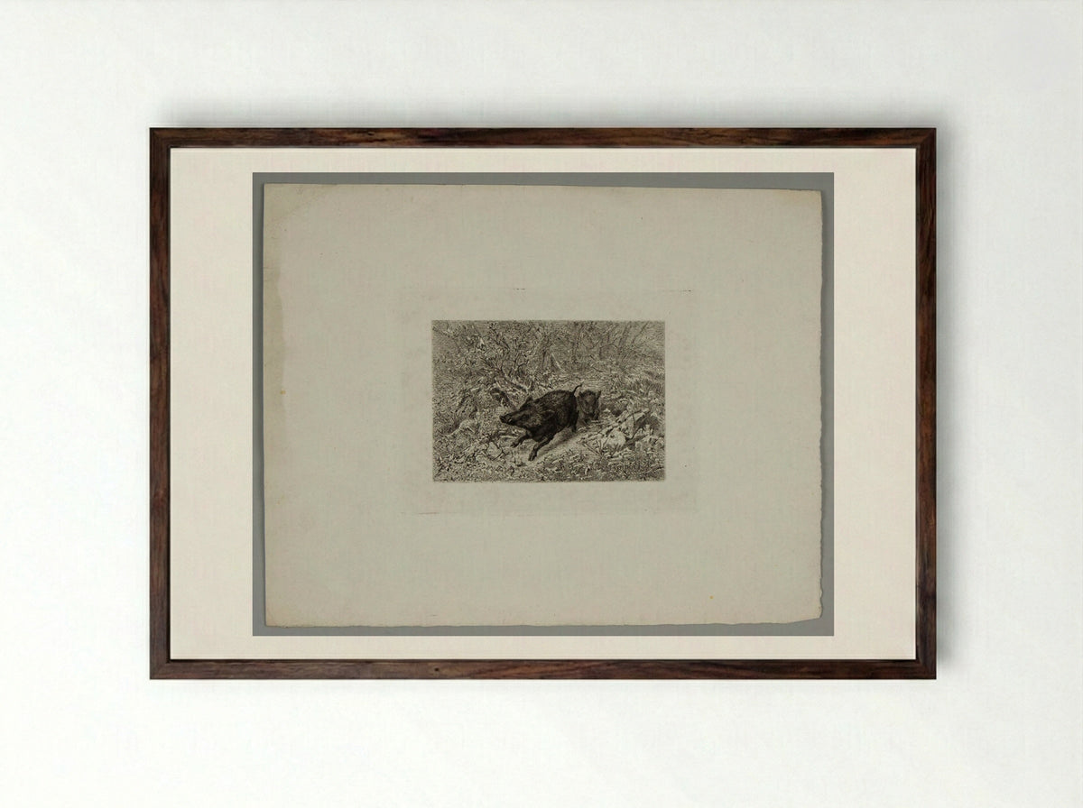Two Boars - Karl Bodmer - Framed Print Dark Wood