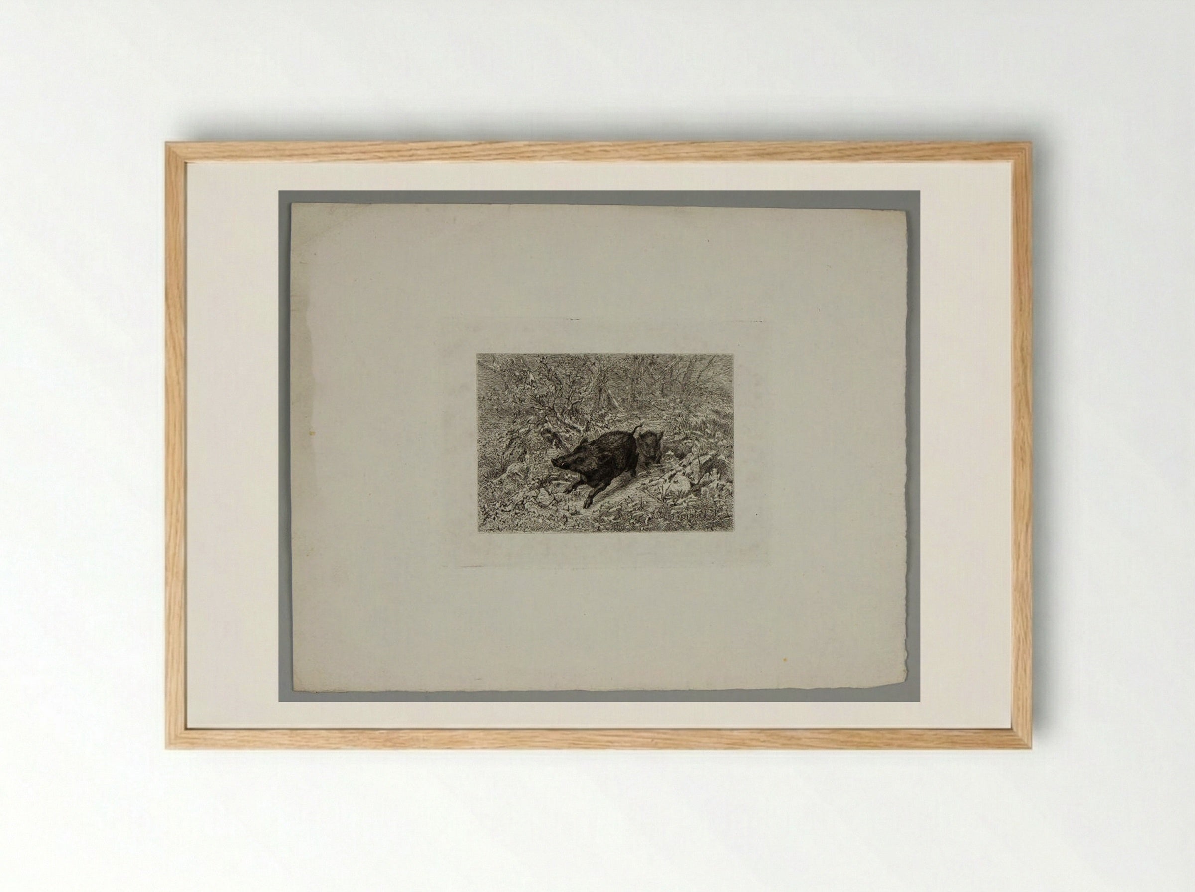 Two Boars - Karl Bodmer - Framed Print Wood