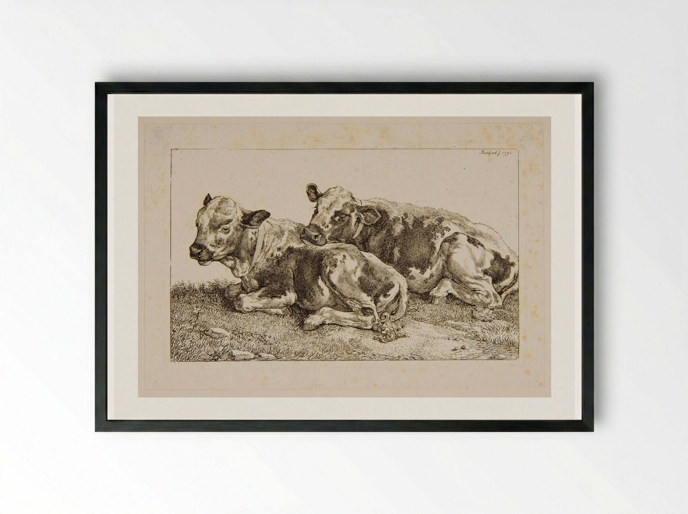 Two Calves - Johann Christian Reinhart - Framed Print Black