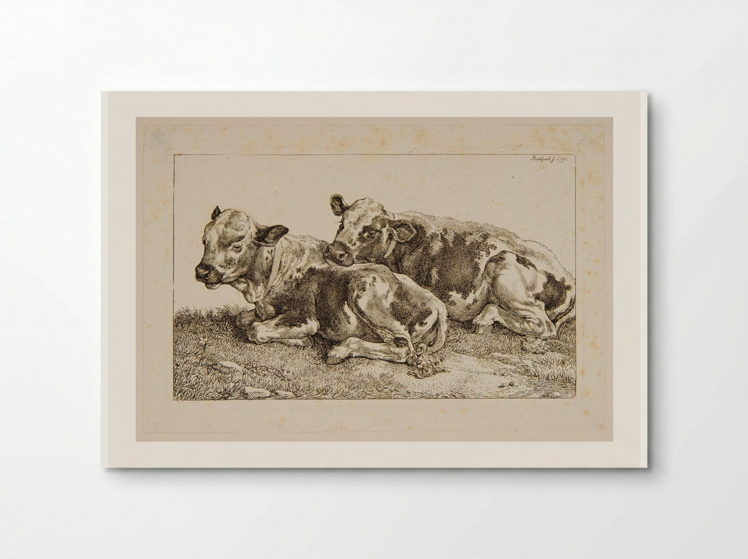 Two Calves - Johann Christian Reinhart - Poster