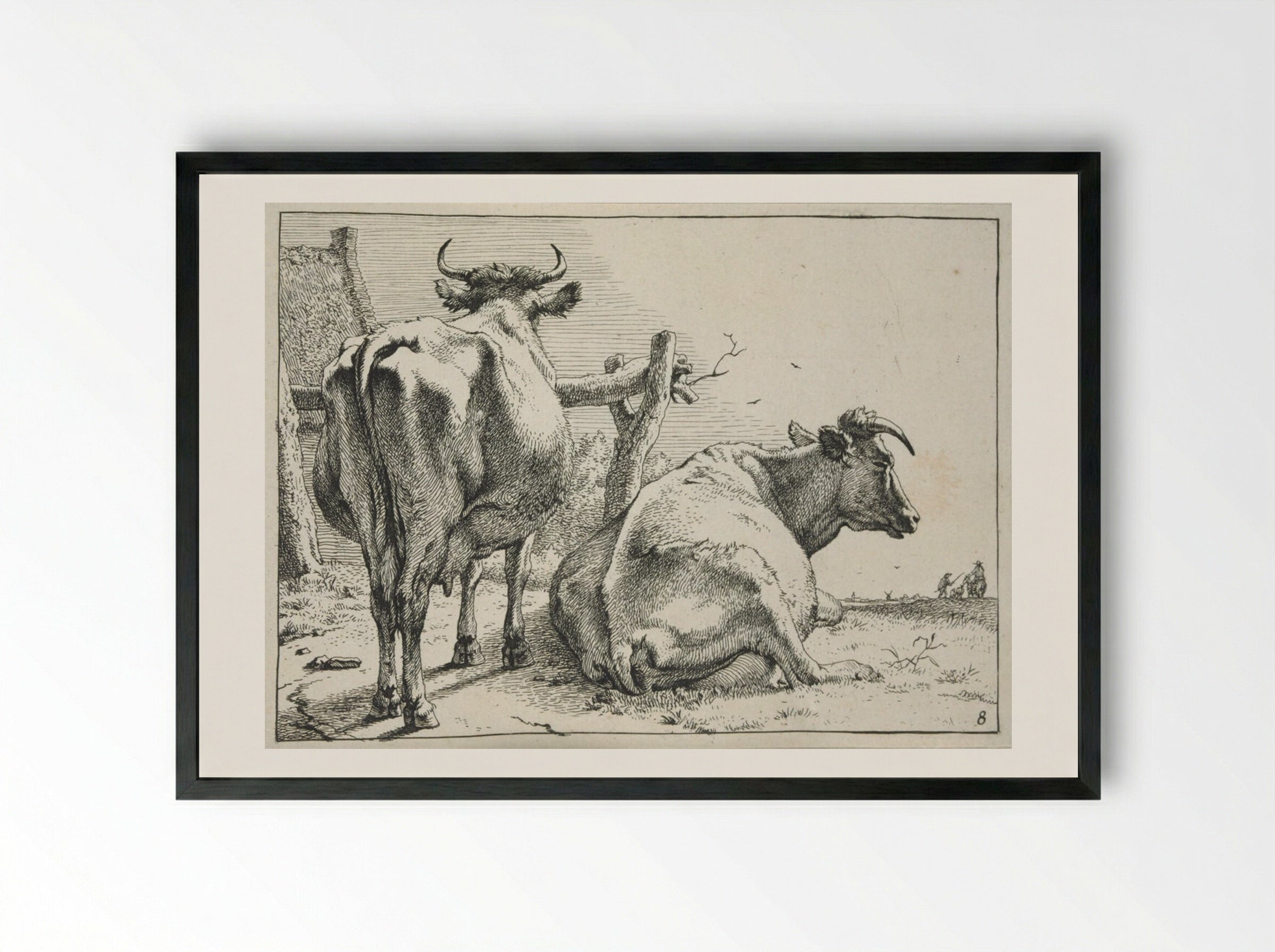 Two Cows Seen from Behind - Paulus Potter - Framed Print Black