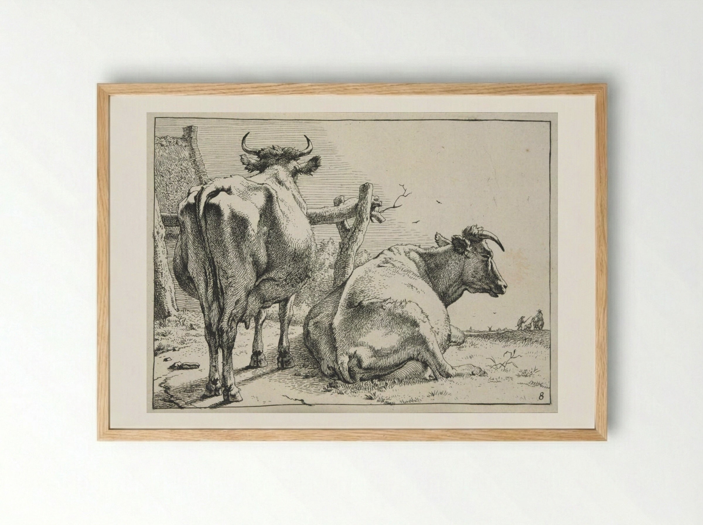 Two Cows Seen from Behind - Paulus Potter - Framed Print Wood